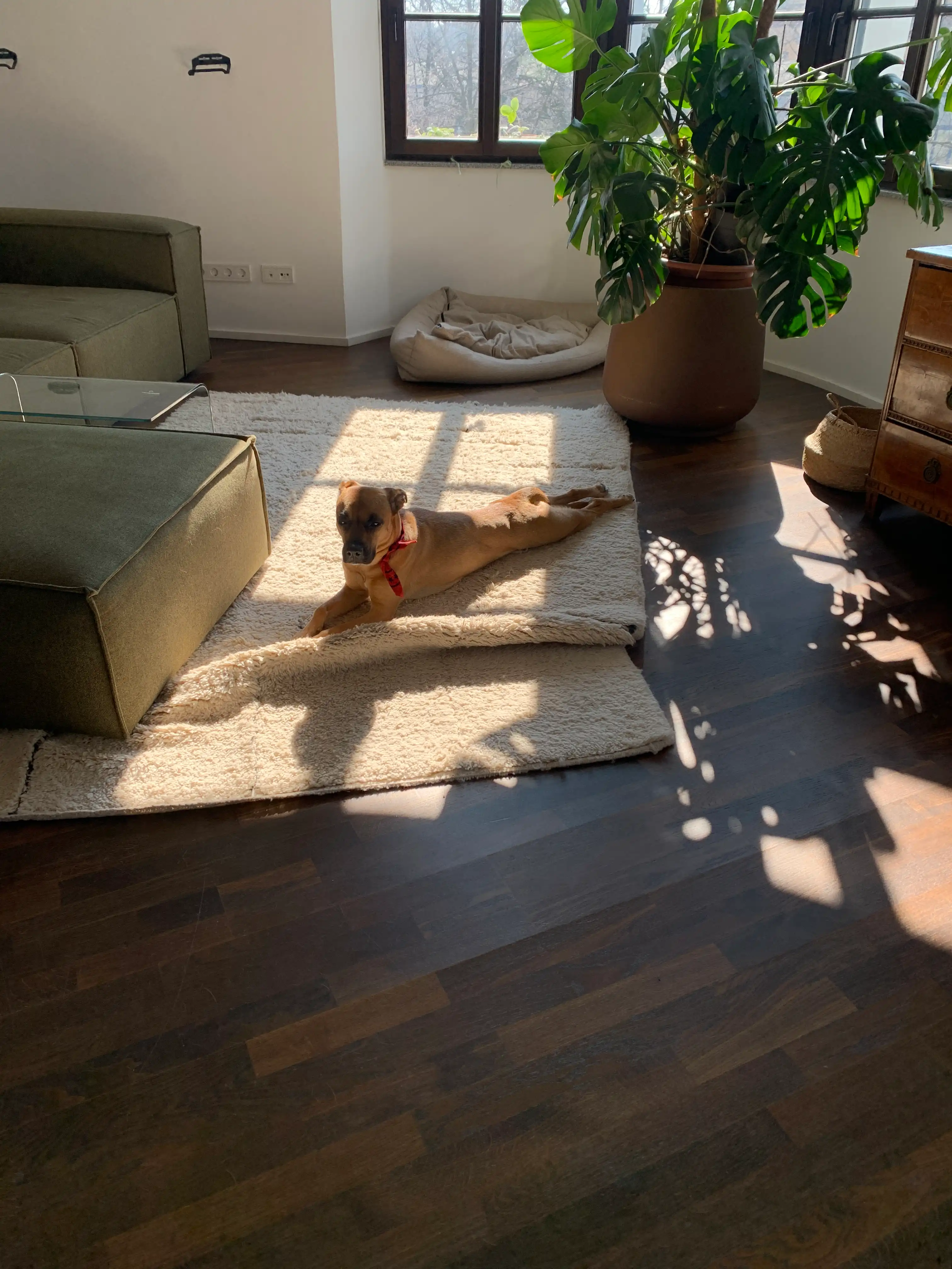 image-9