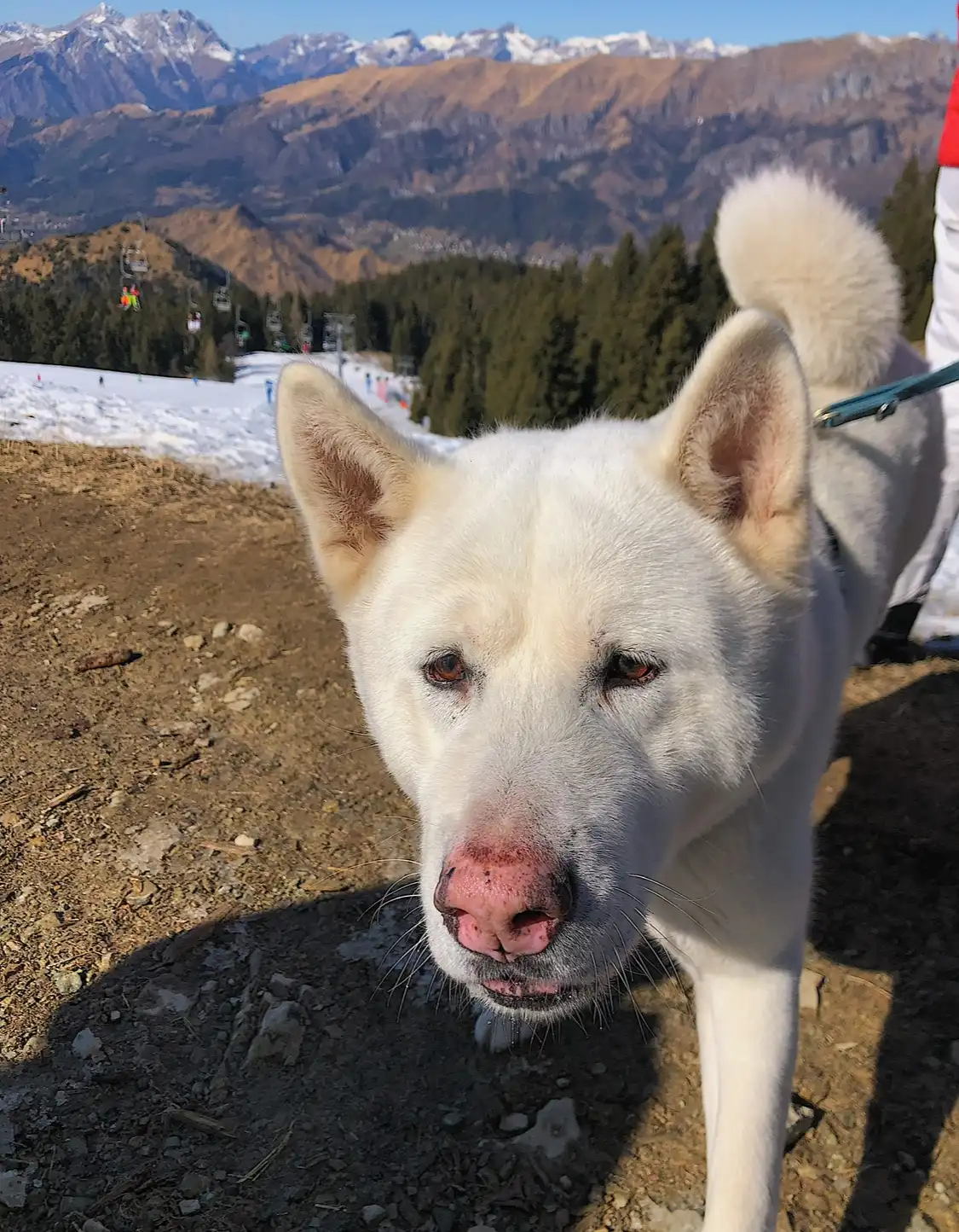 image-9