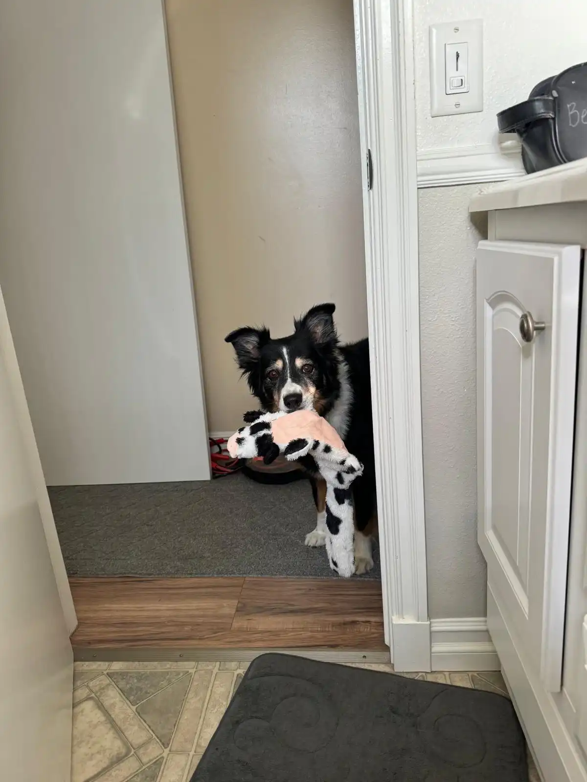 image-7