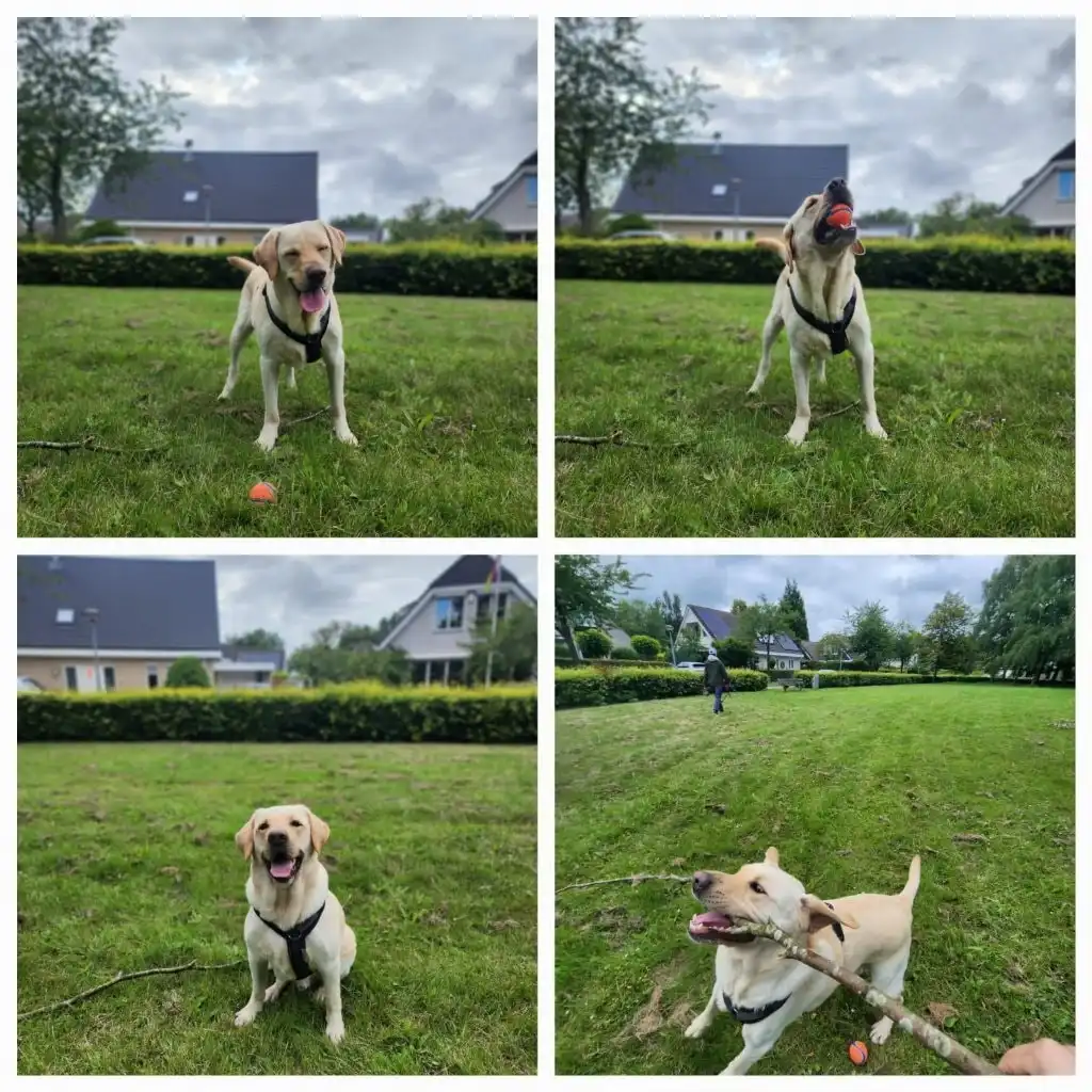 image-46