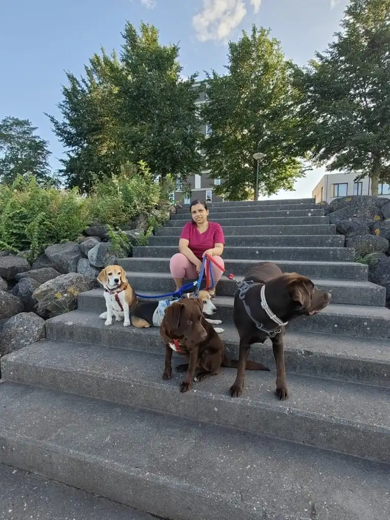 image-20