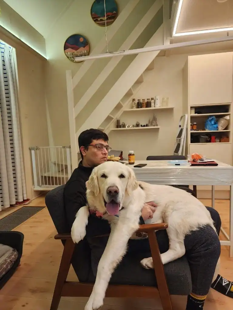 image-34