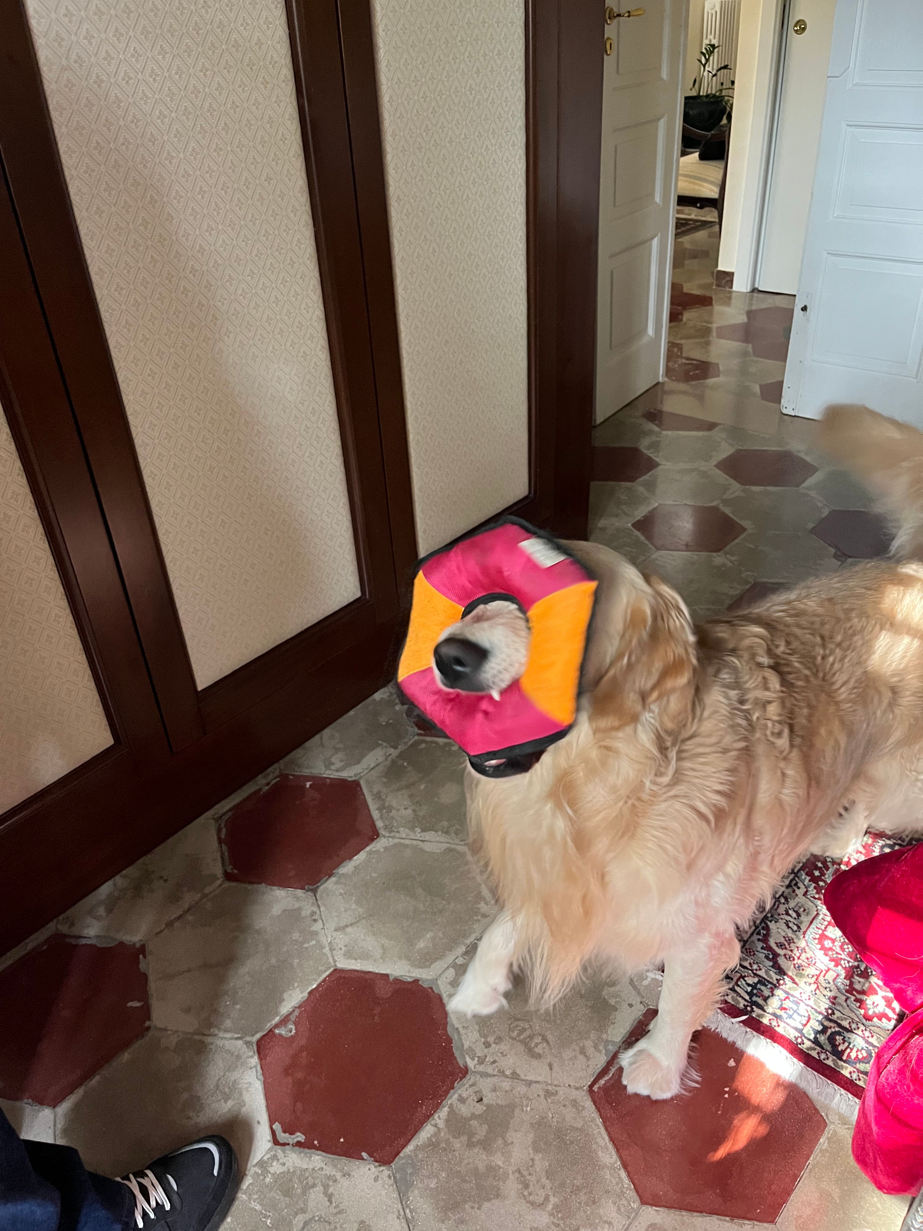 image-11