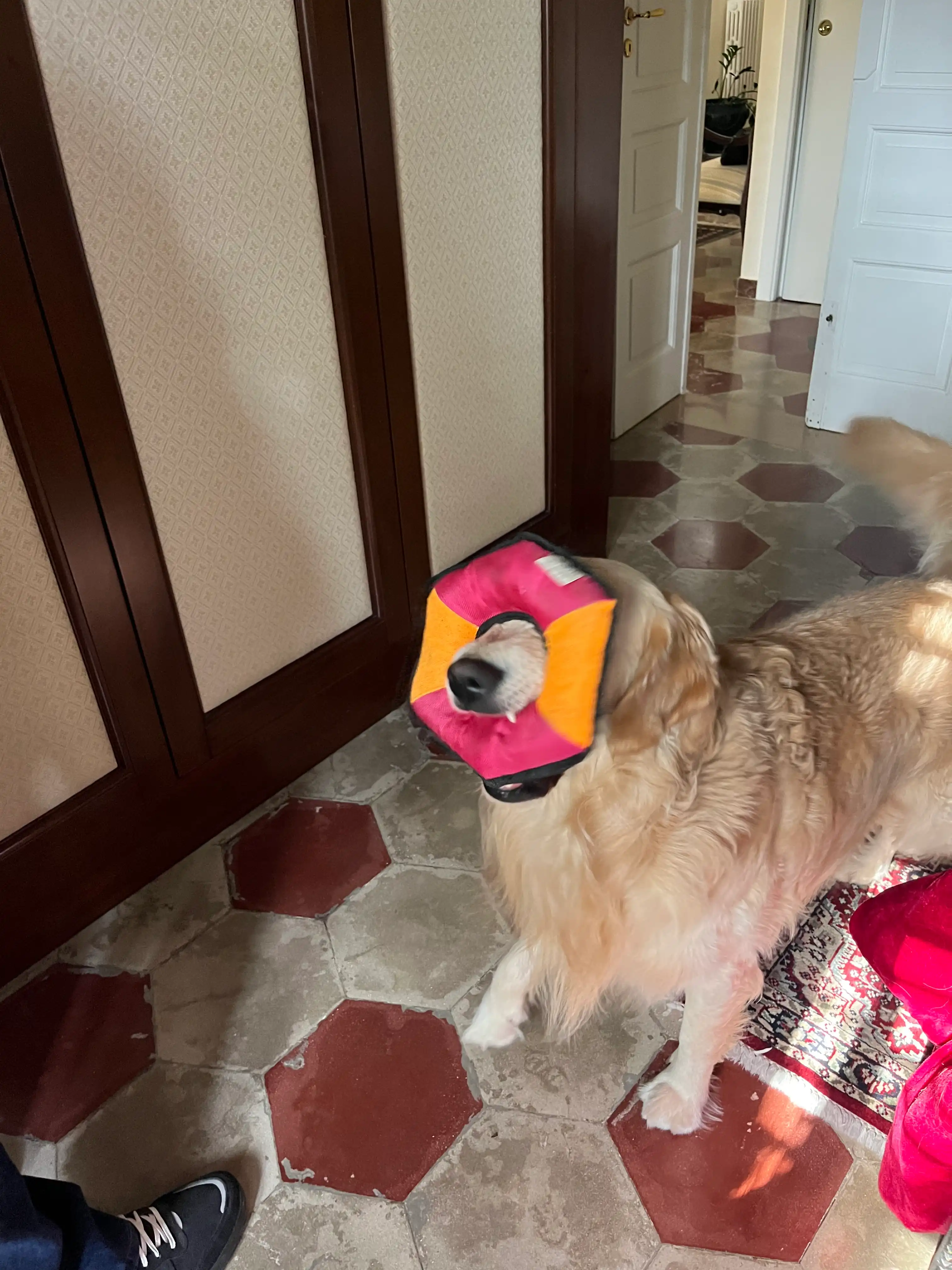 image-11