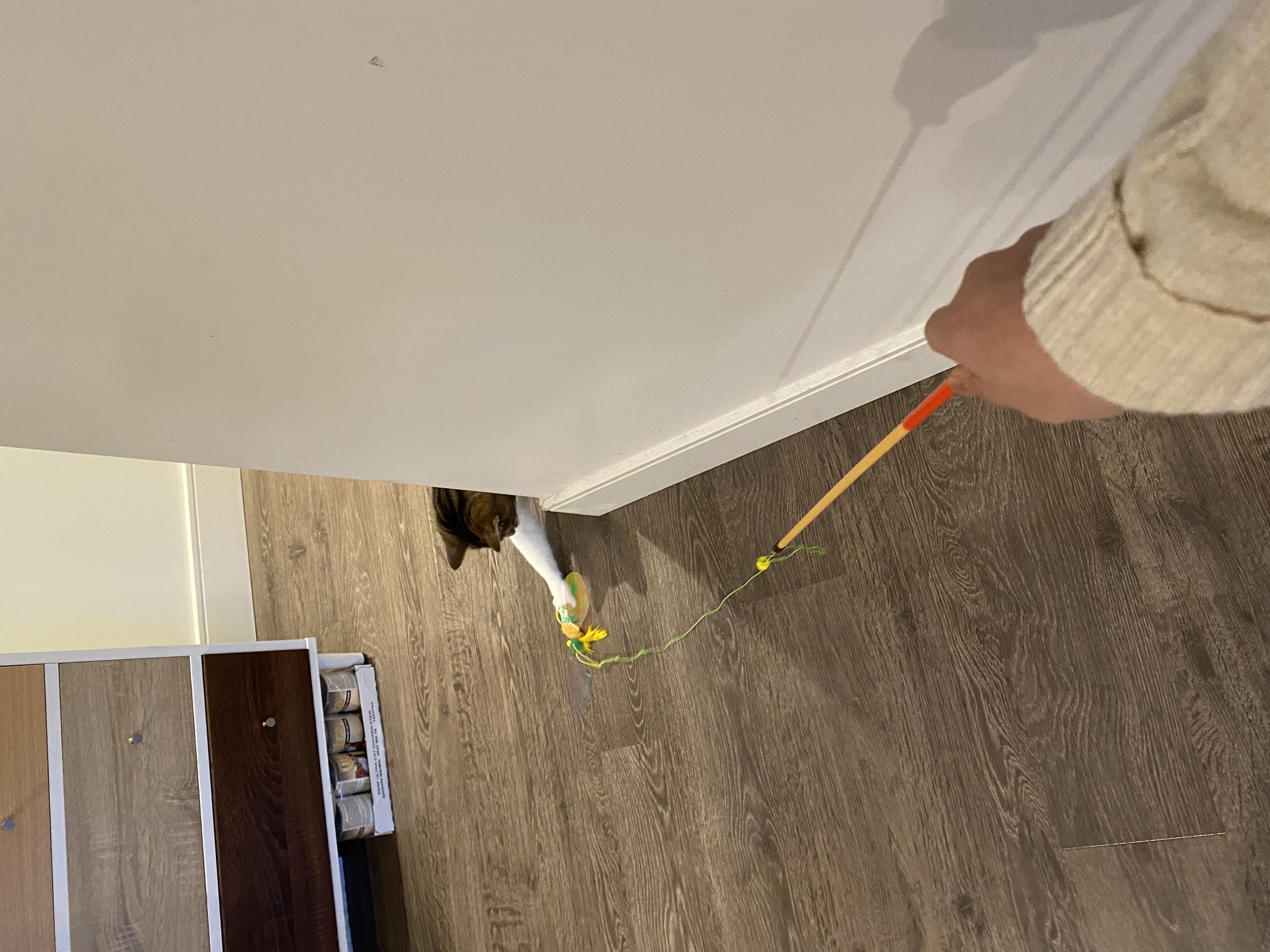 image-9