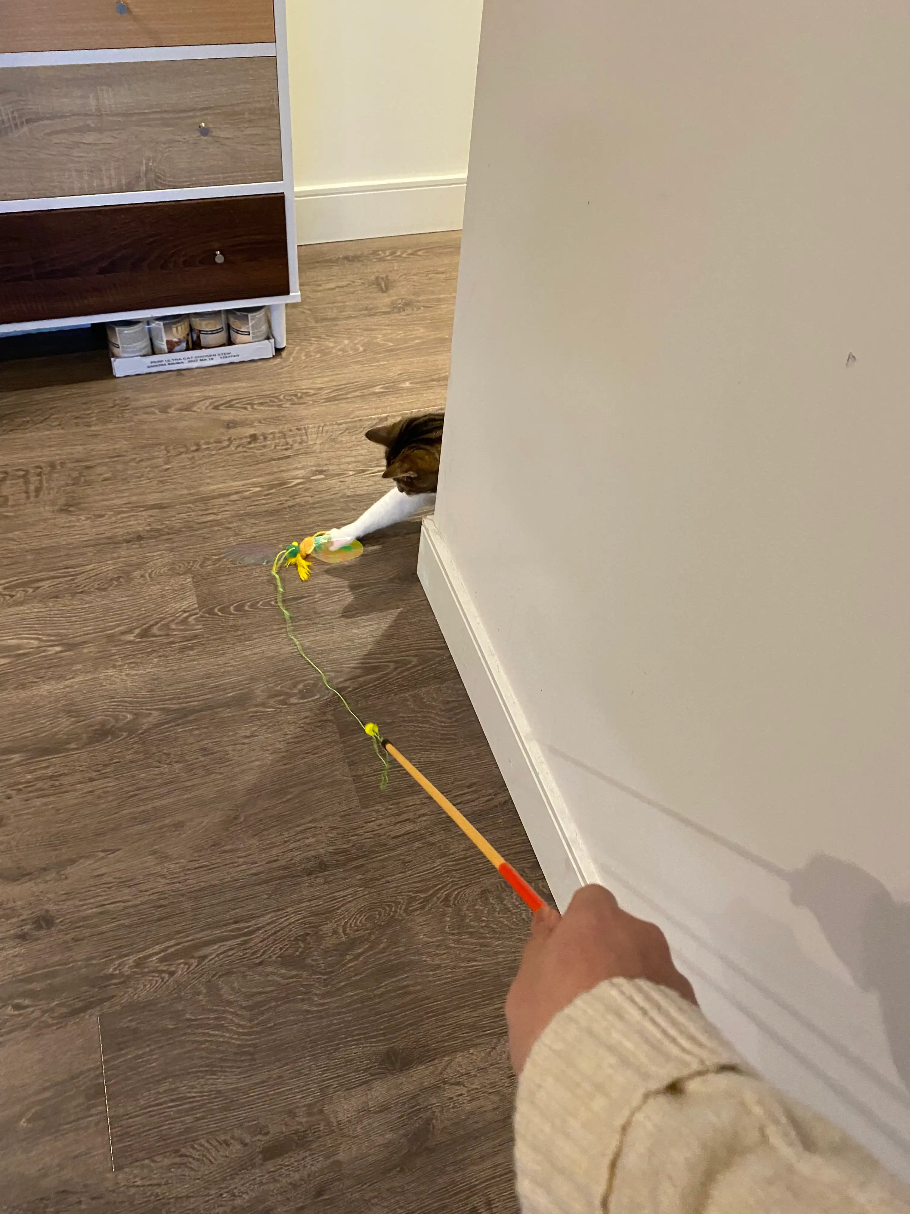 image-9