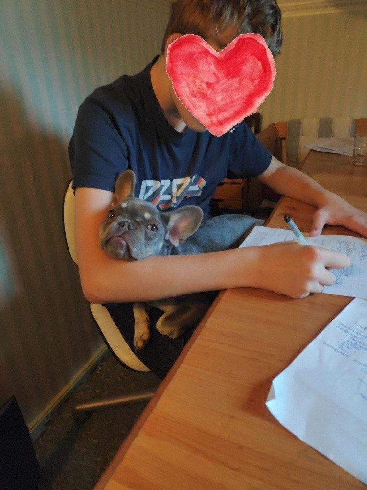 image-4