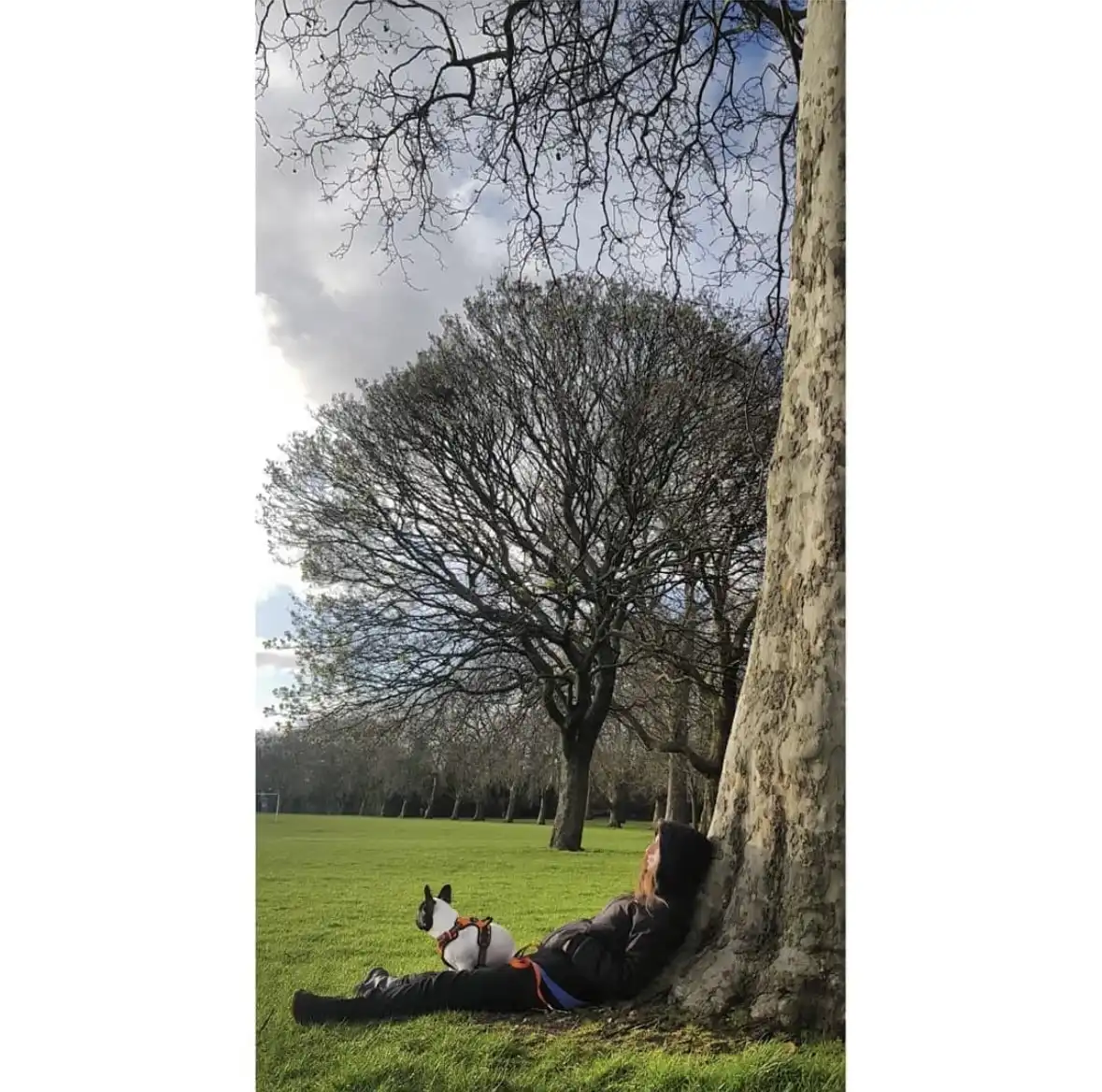 image-13