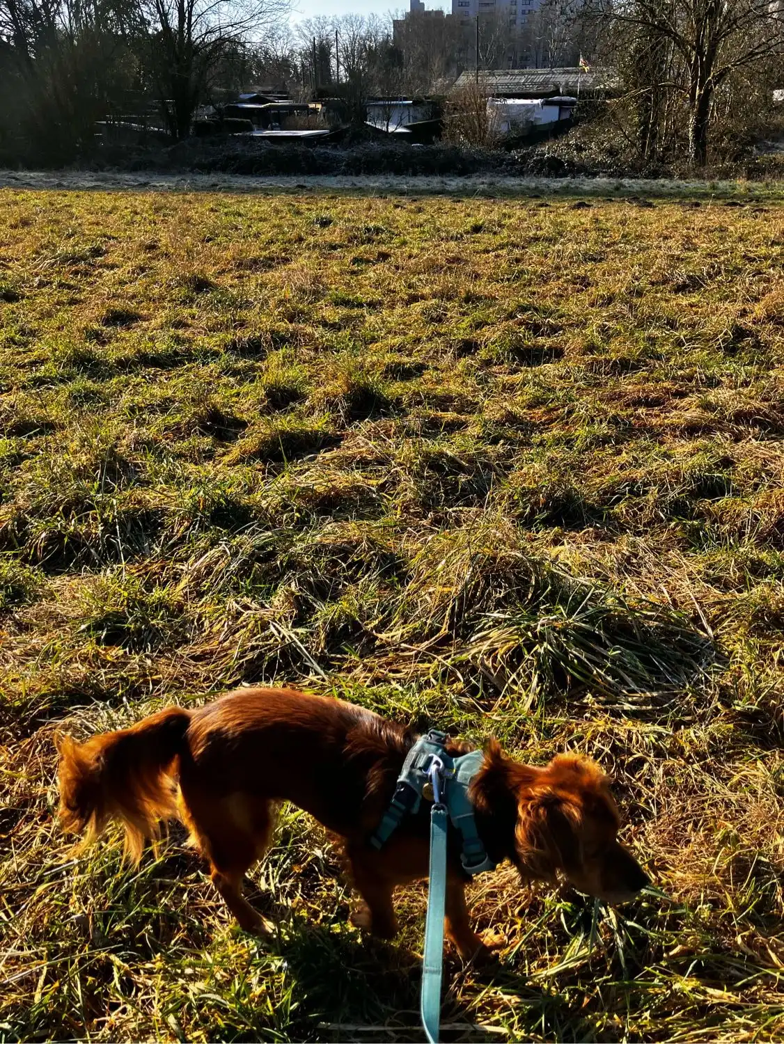image-9