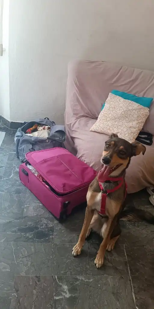 image-16