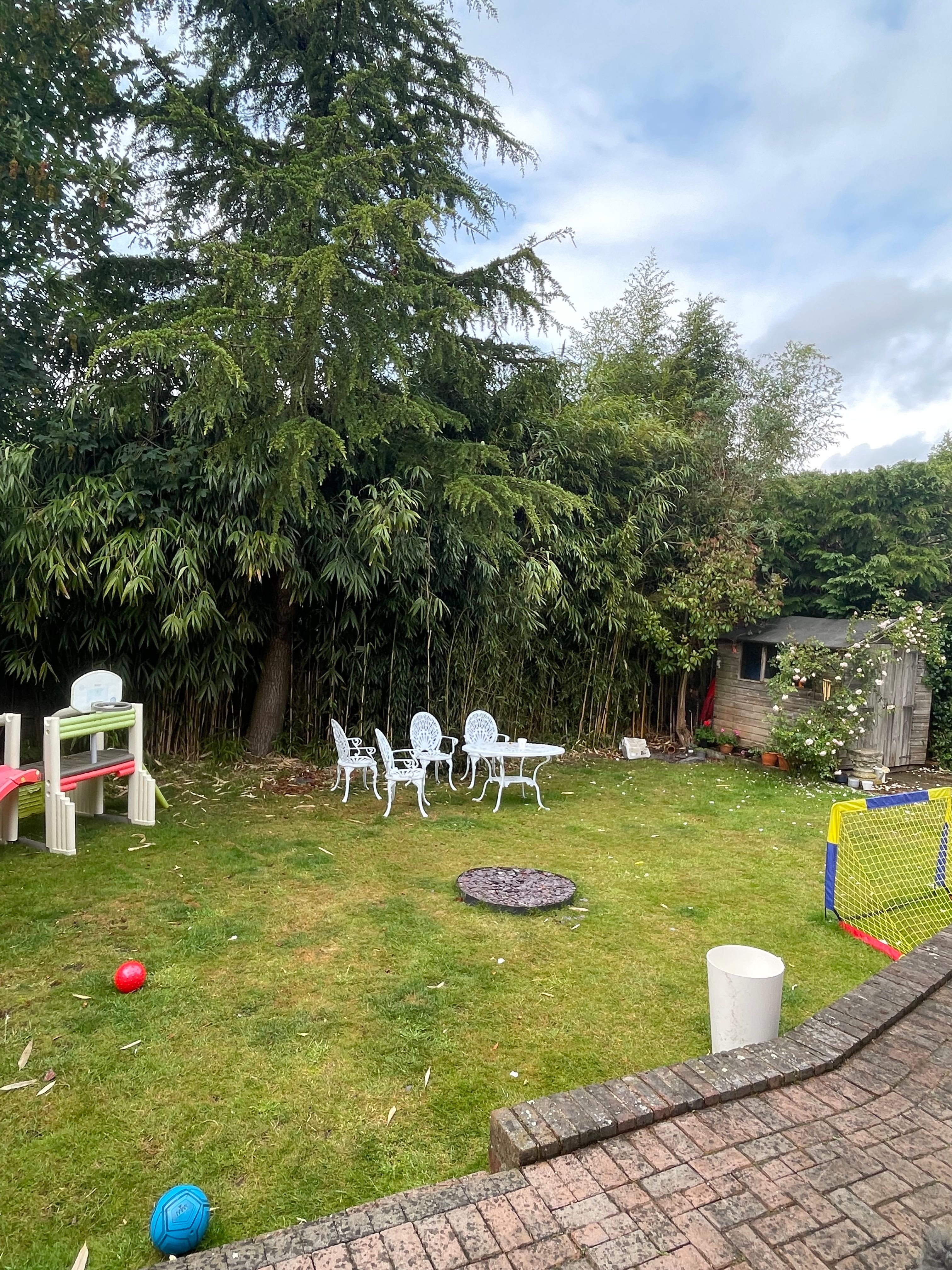 image-20