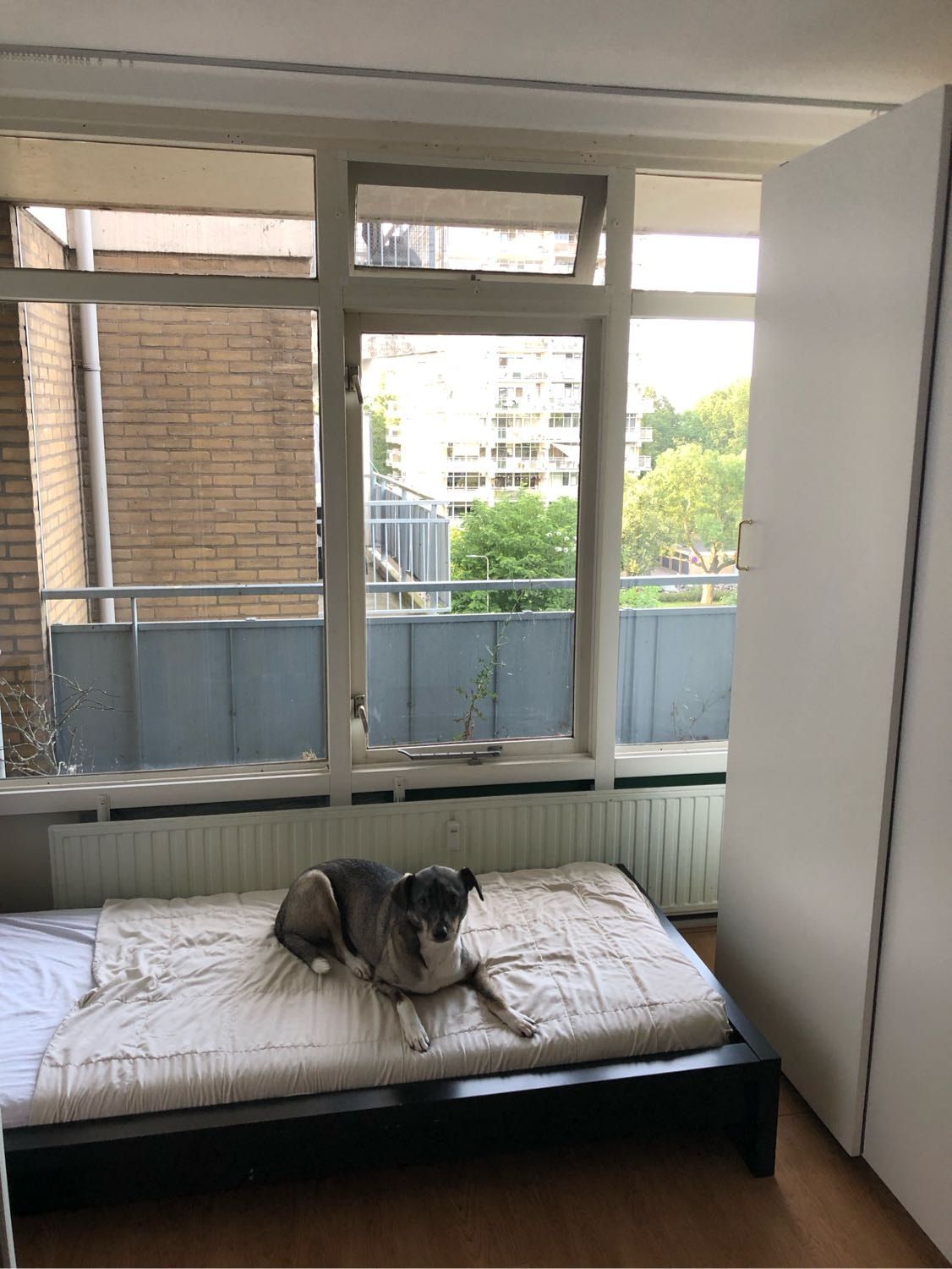 image-18