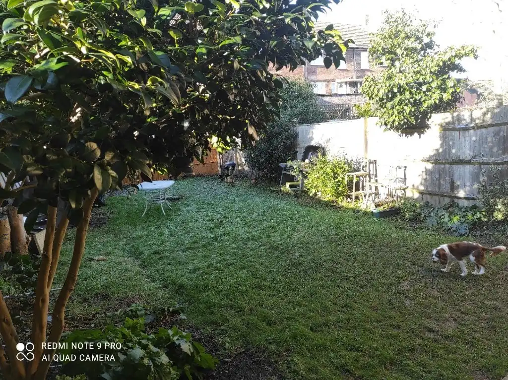 image-39