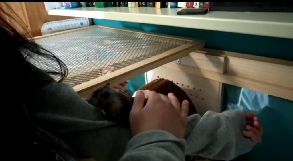 image-4