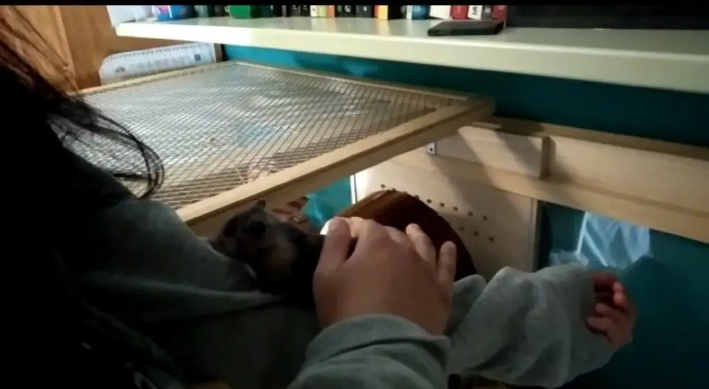 image-4