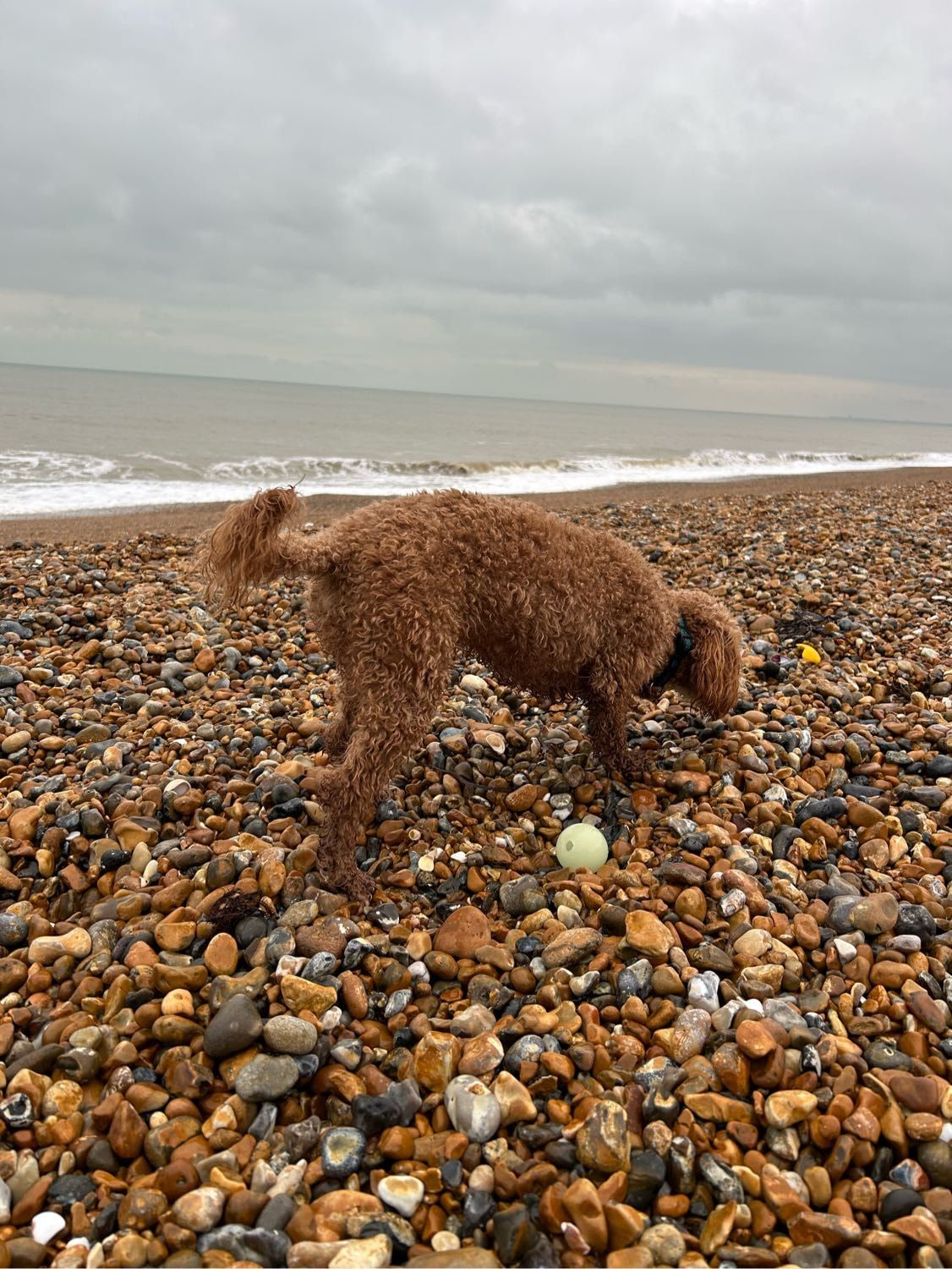 image-5