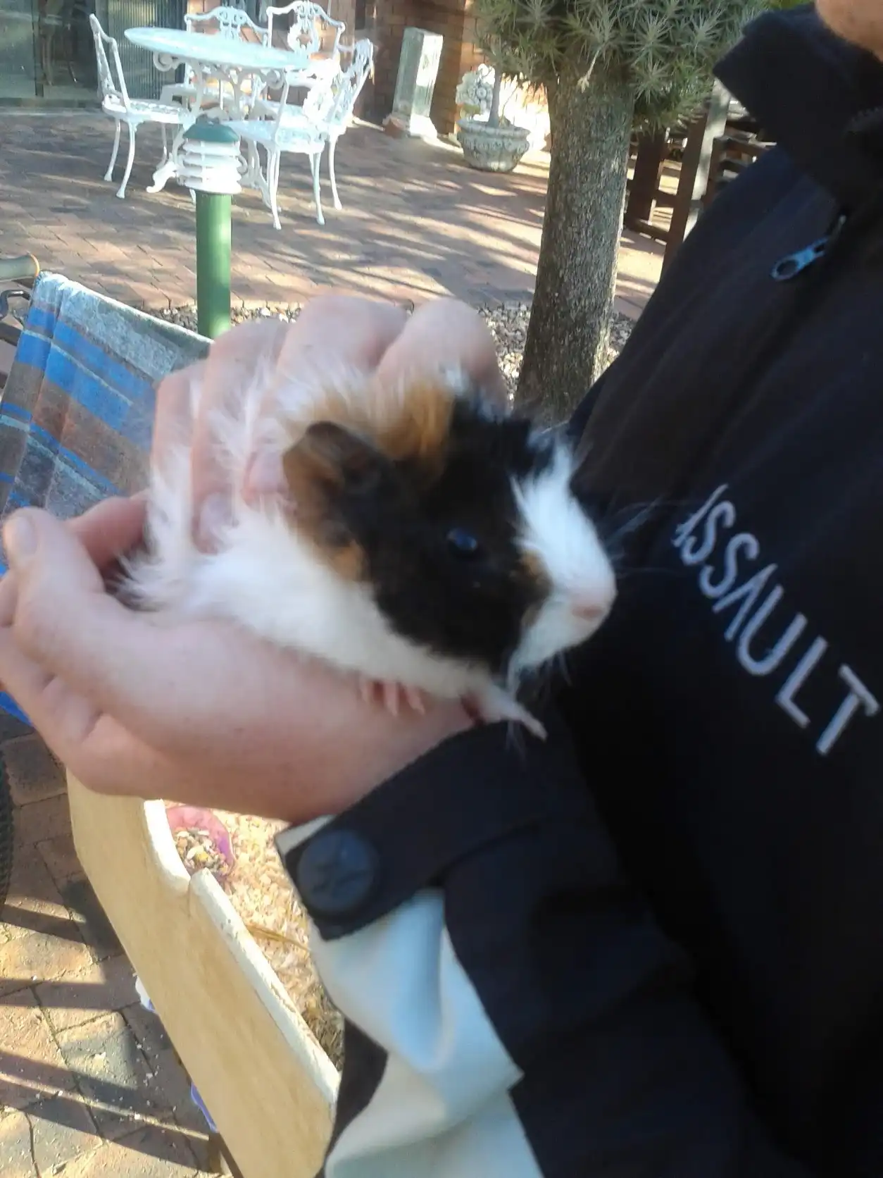 image-10