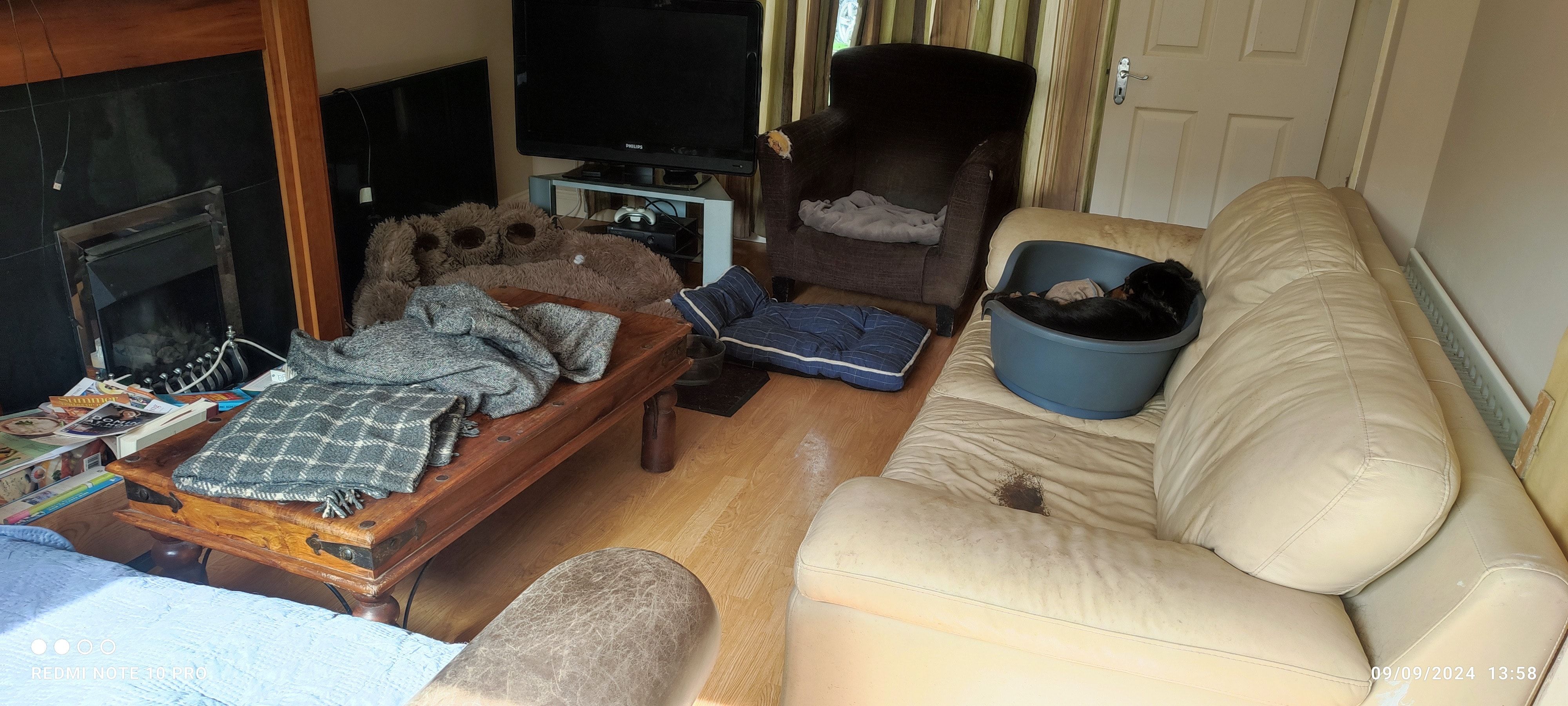 image-3