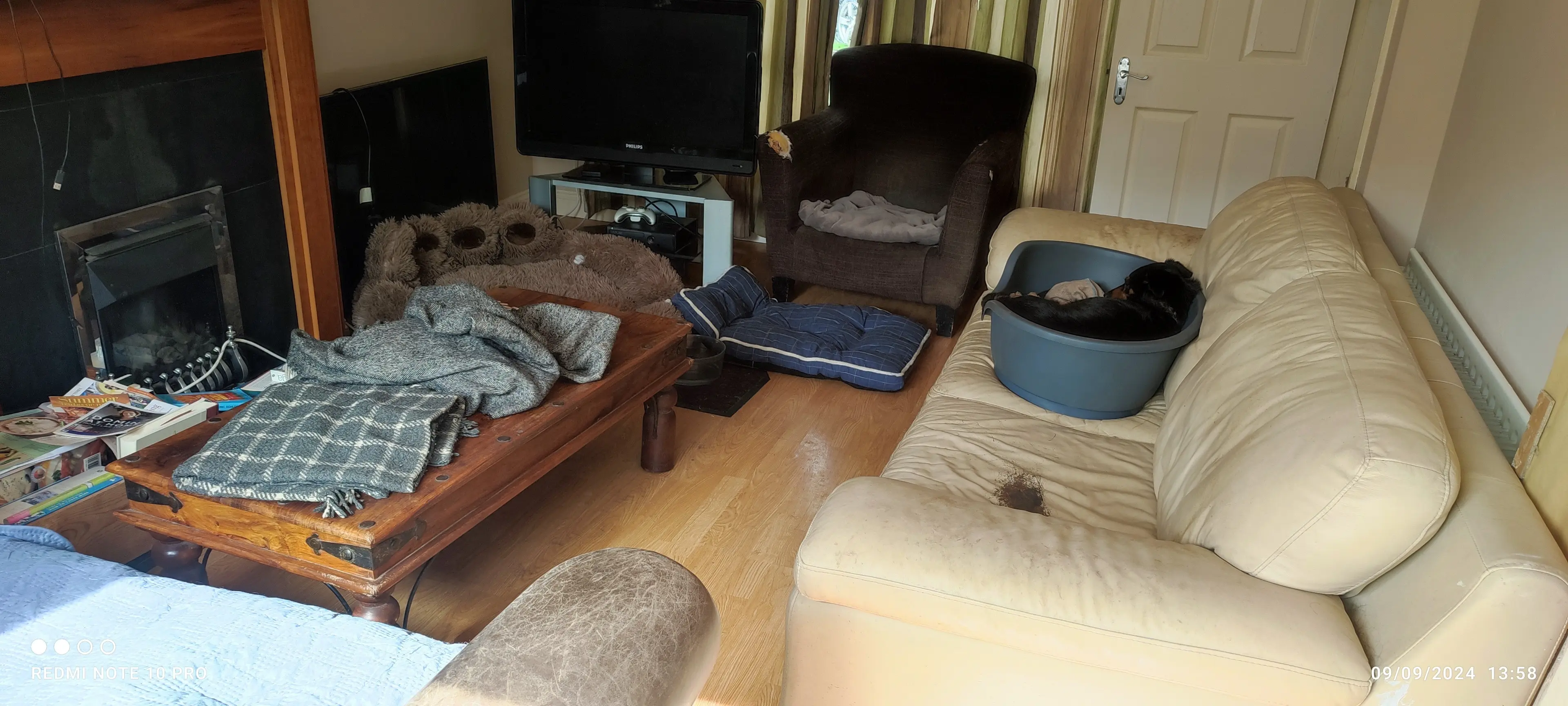 image-3