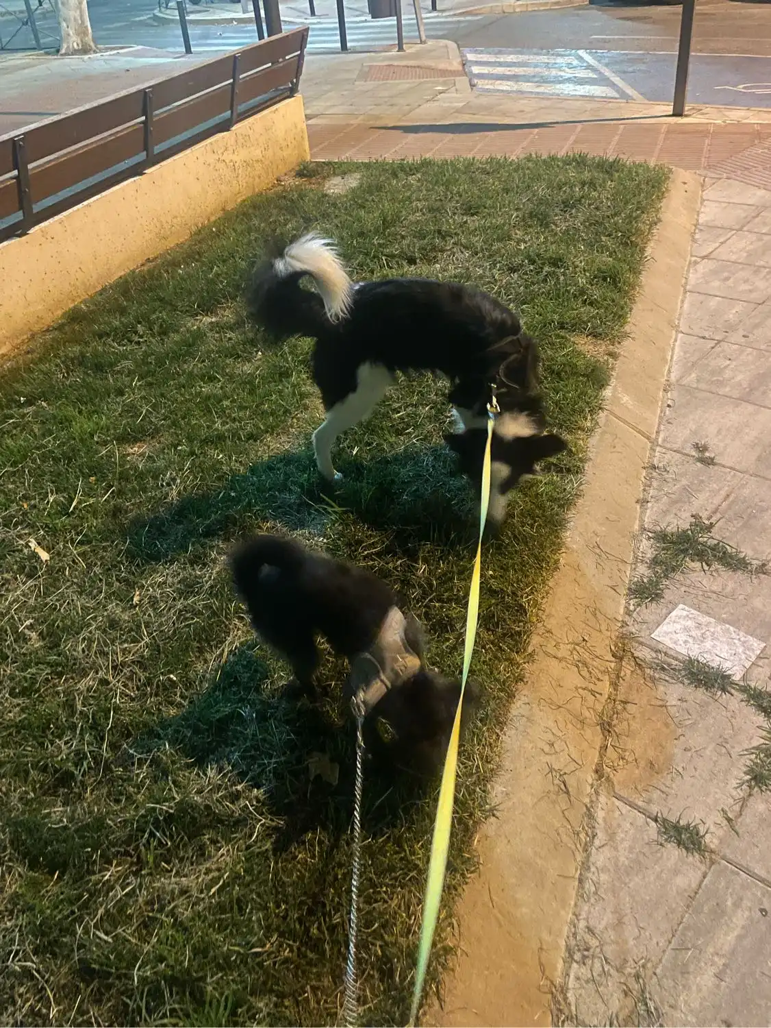 image-7