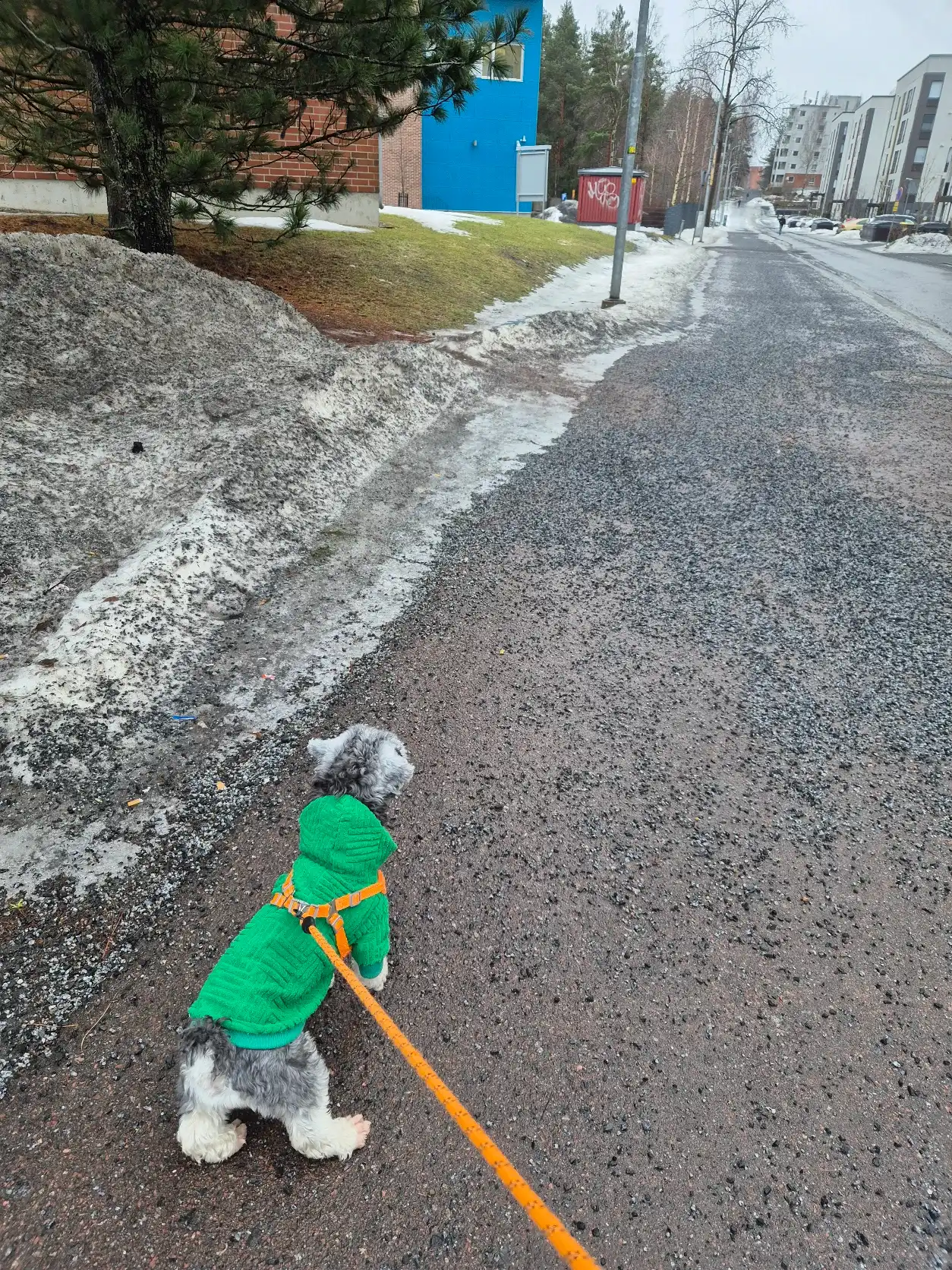 image-6