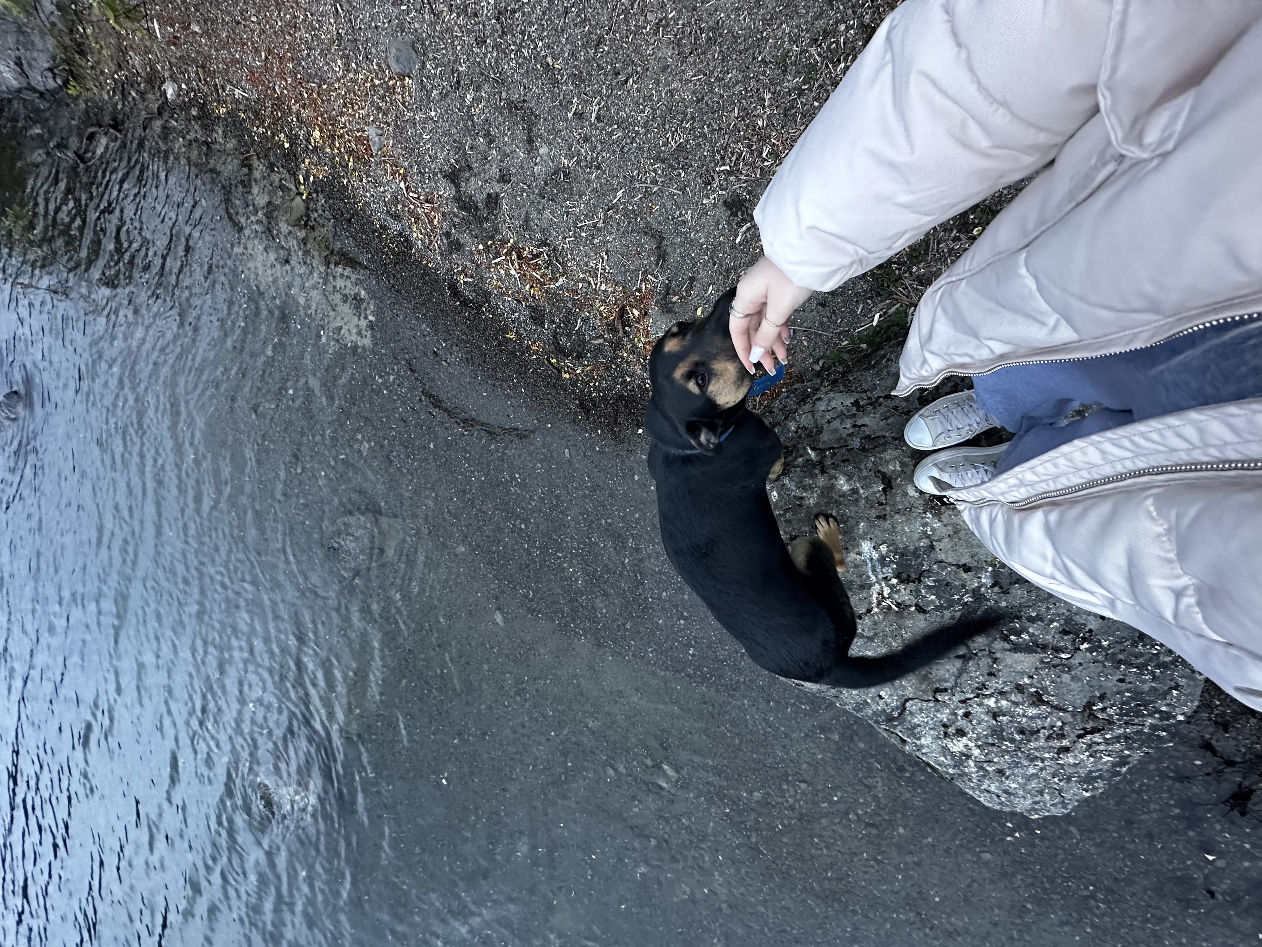 image-7