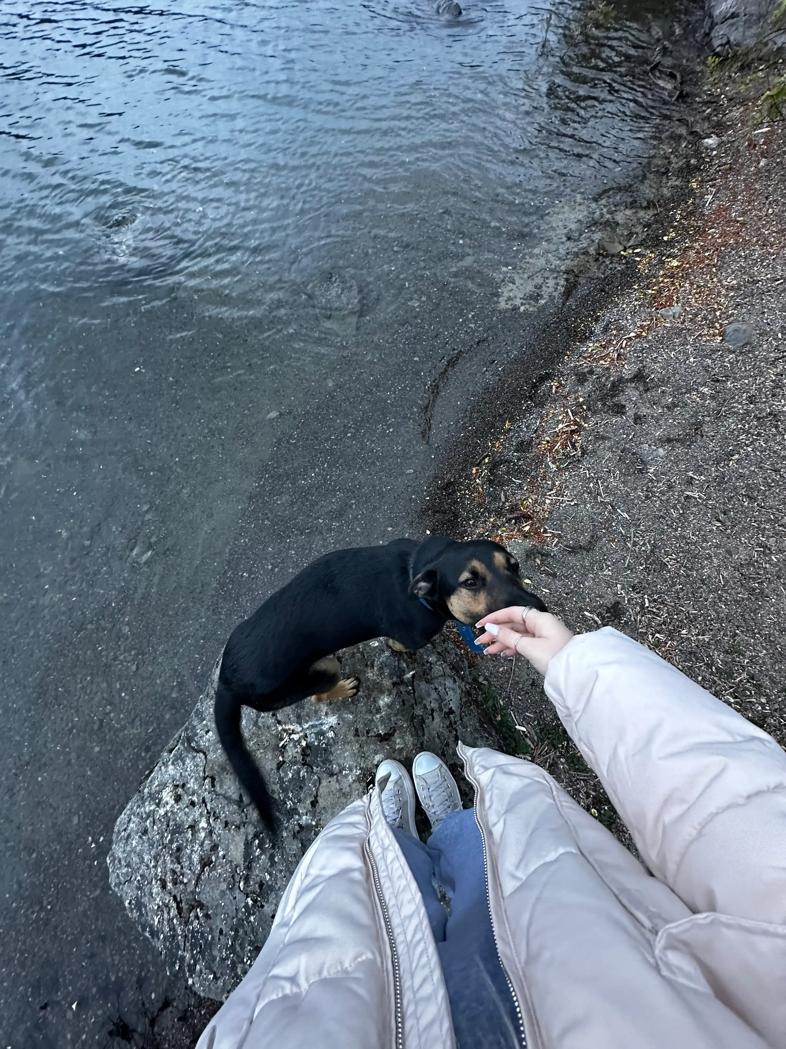 image-7