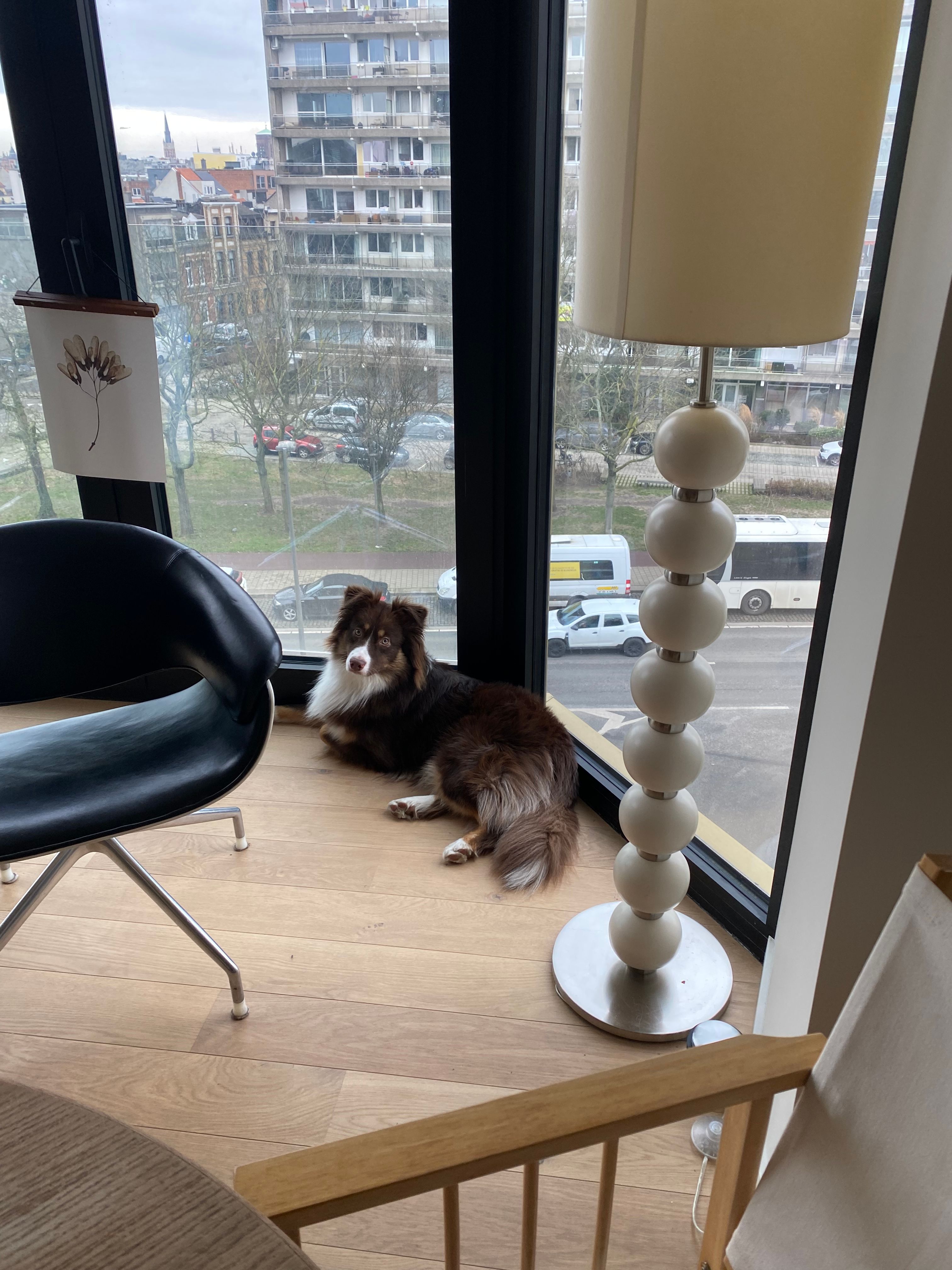 image-17