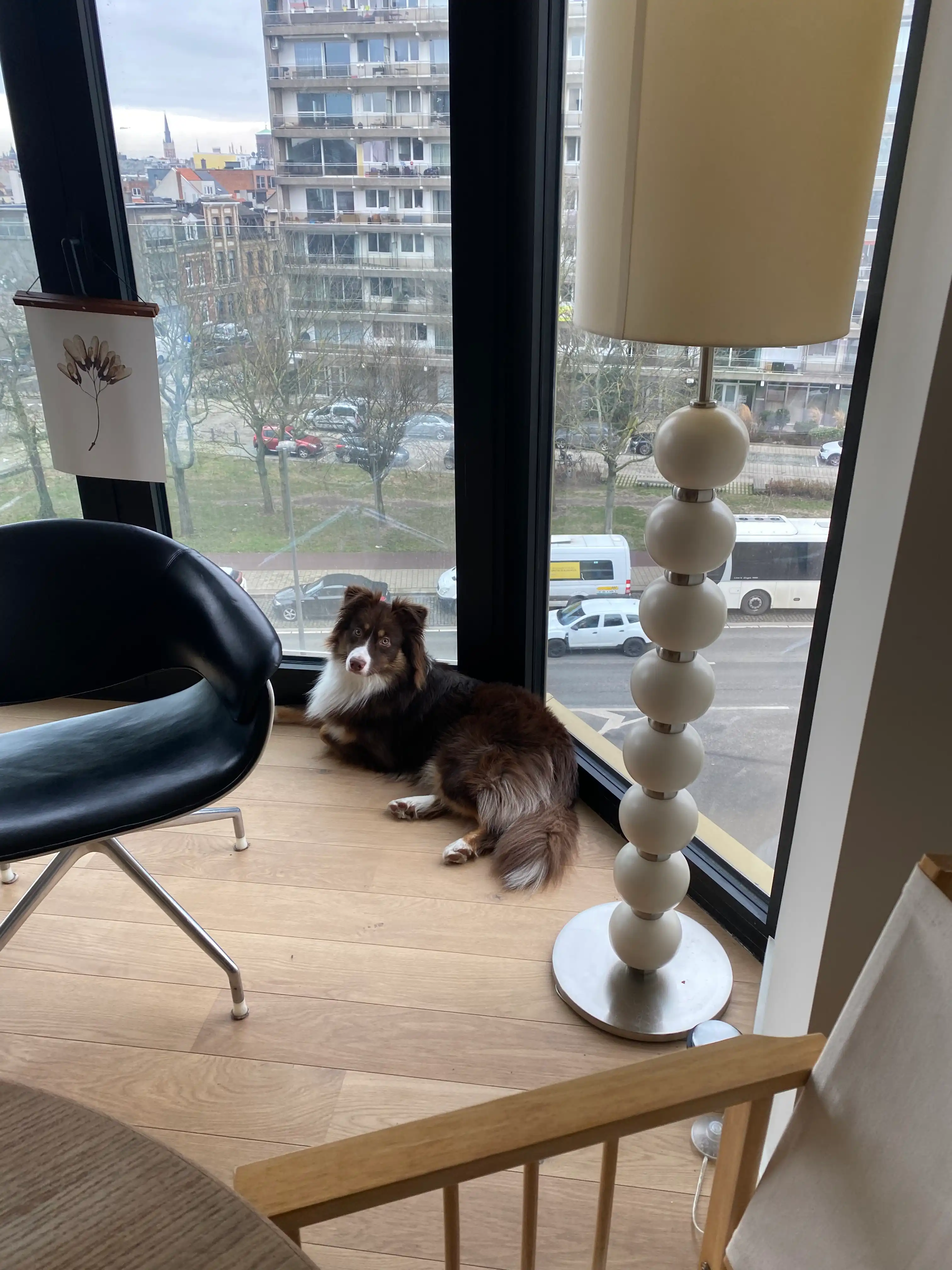 image-17