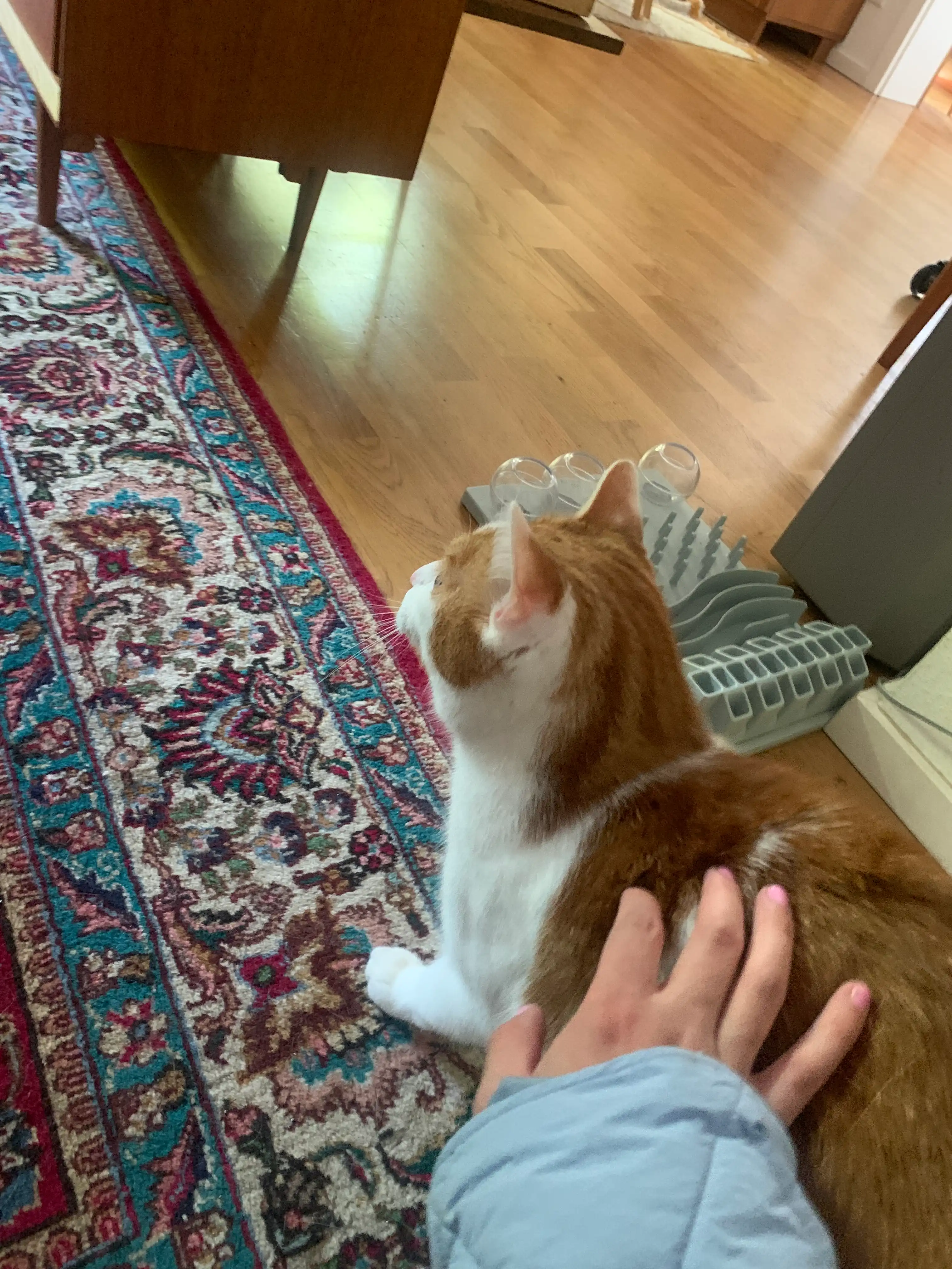 image-15