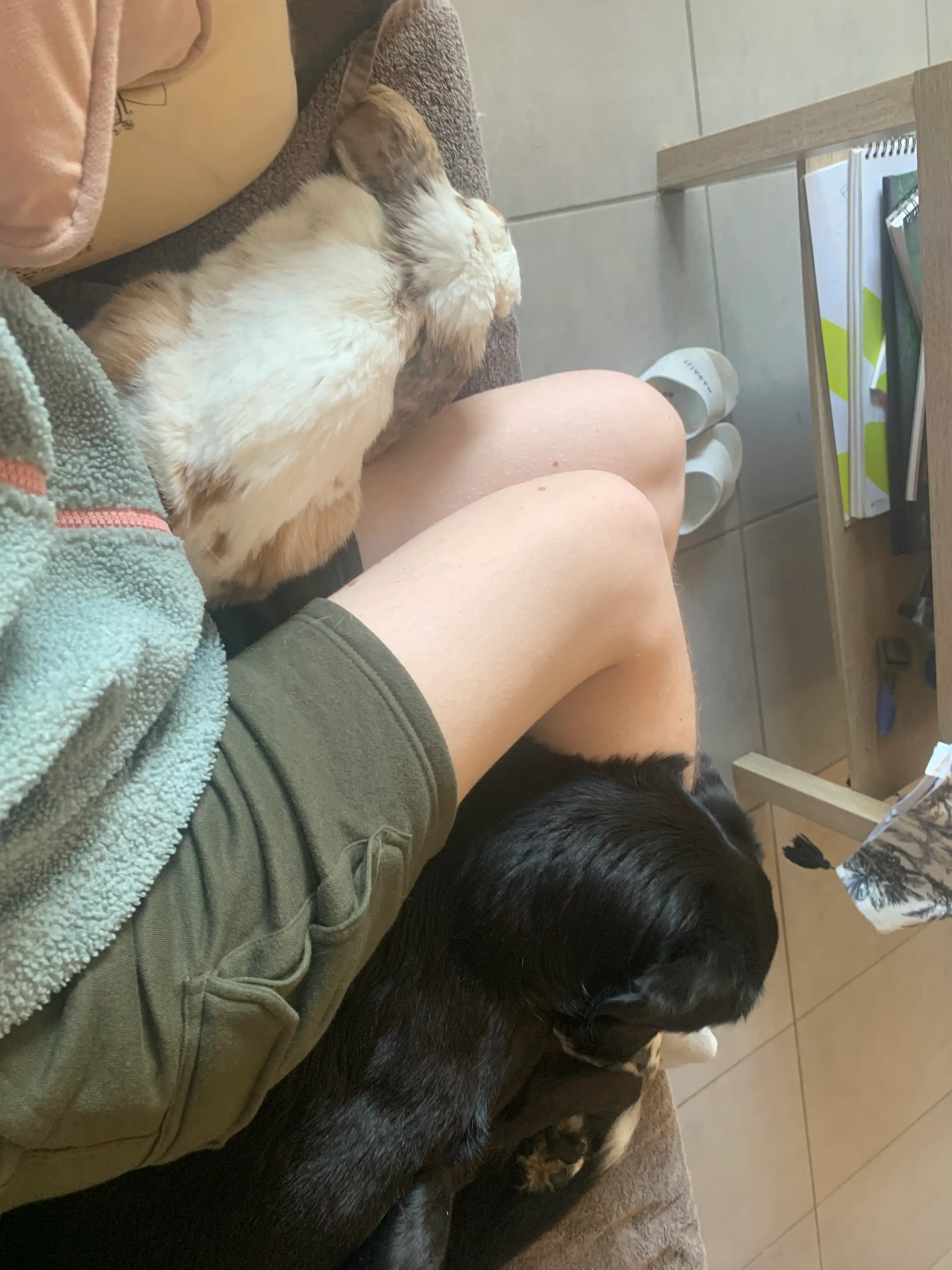 image-10