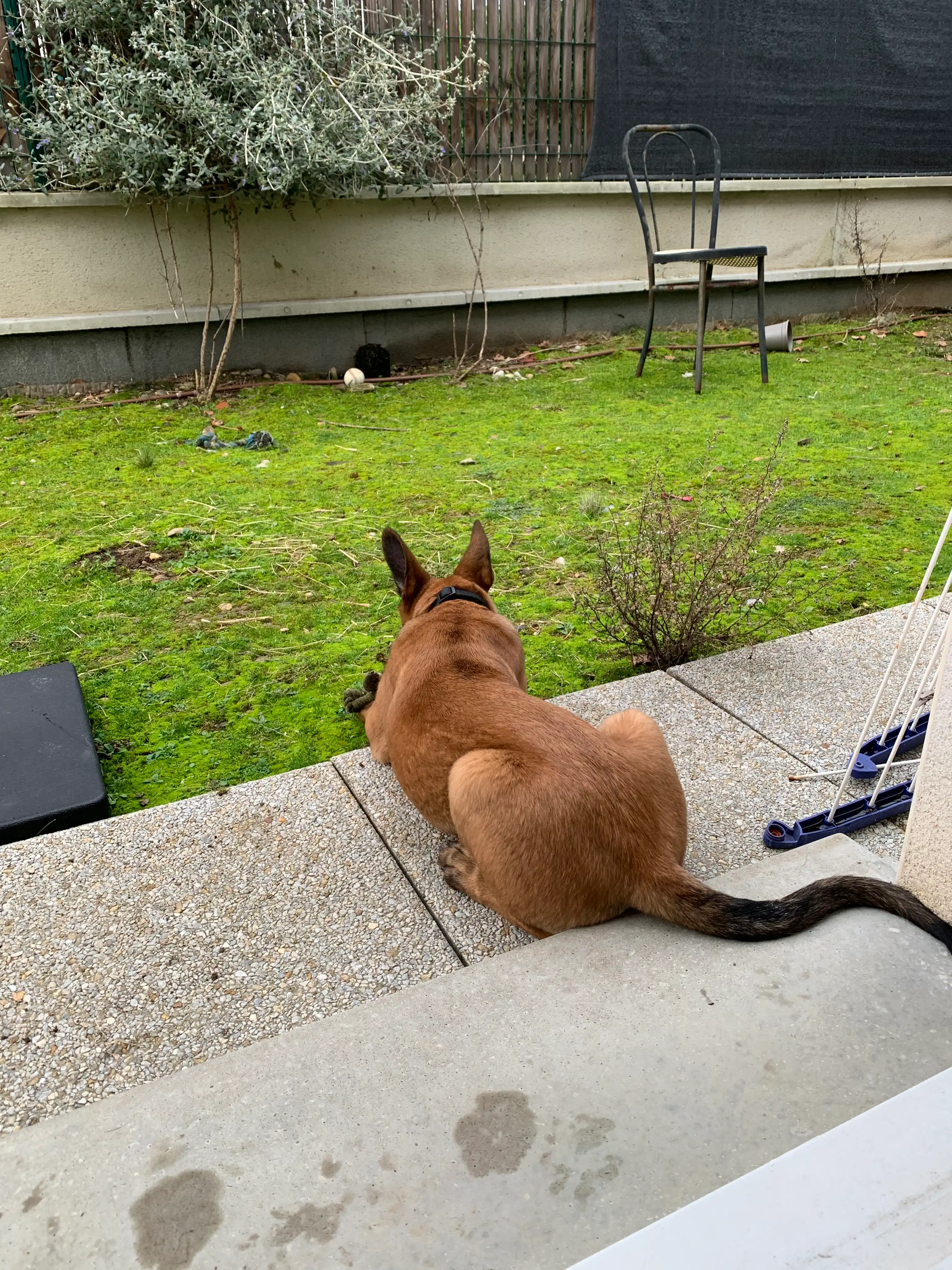 image-17