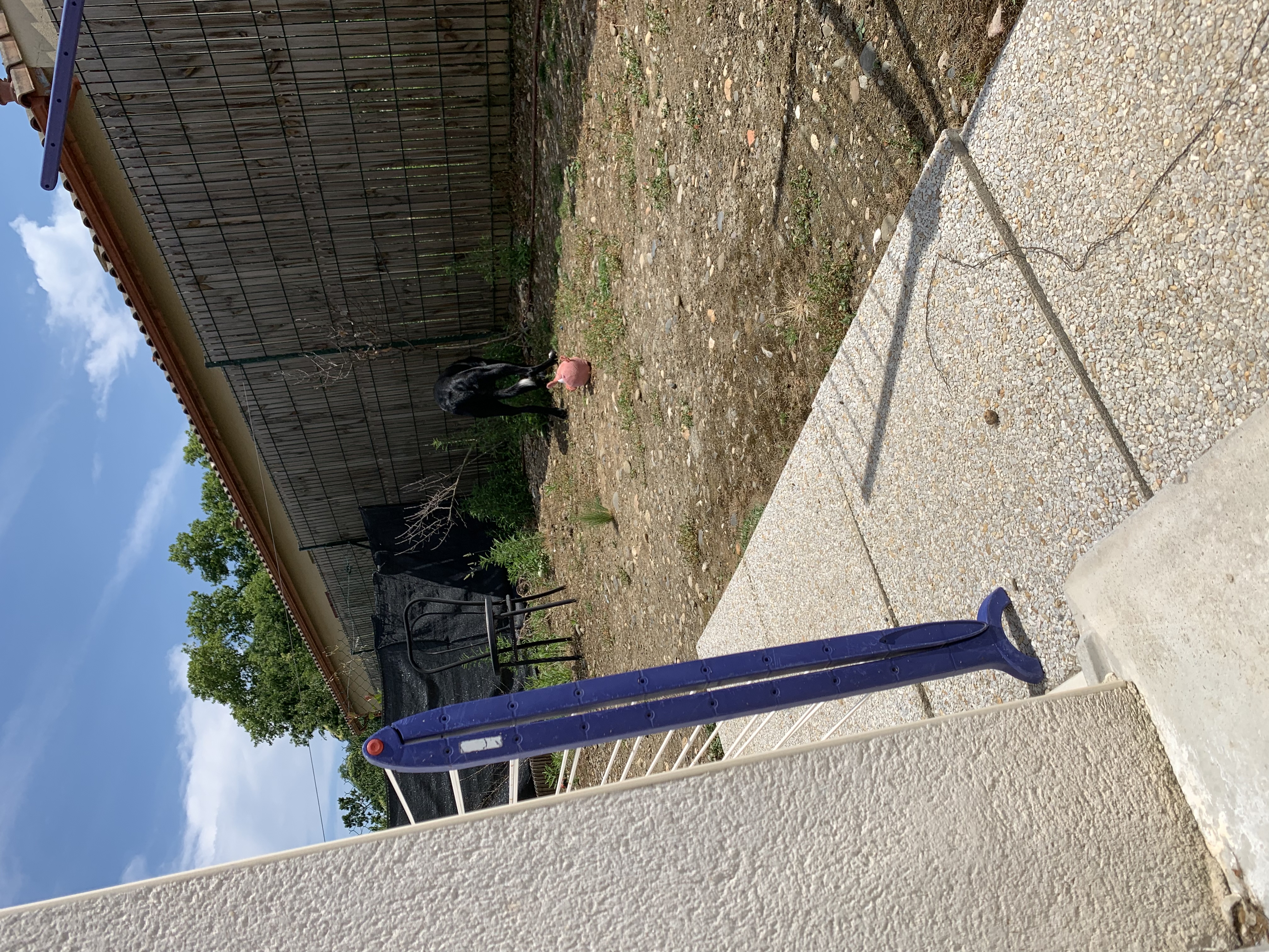 image-19