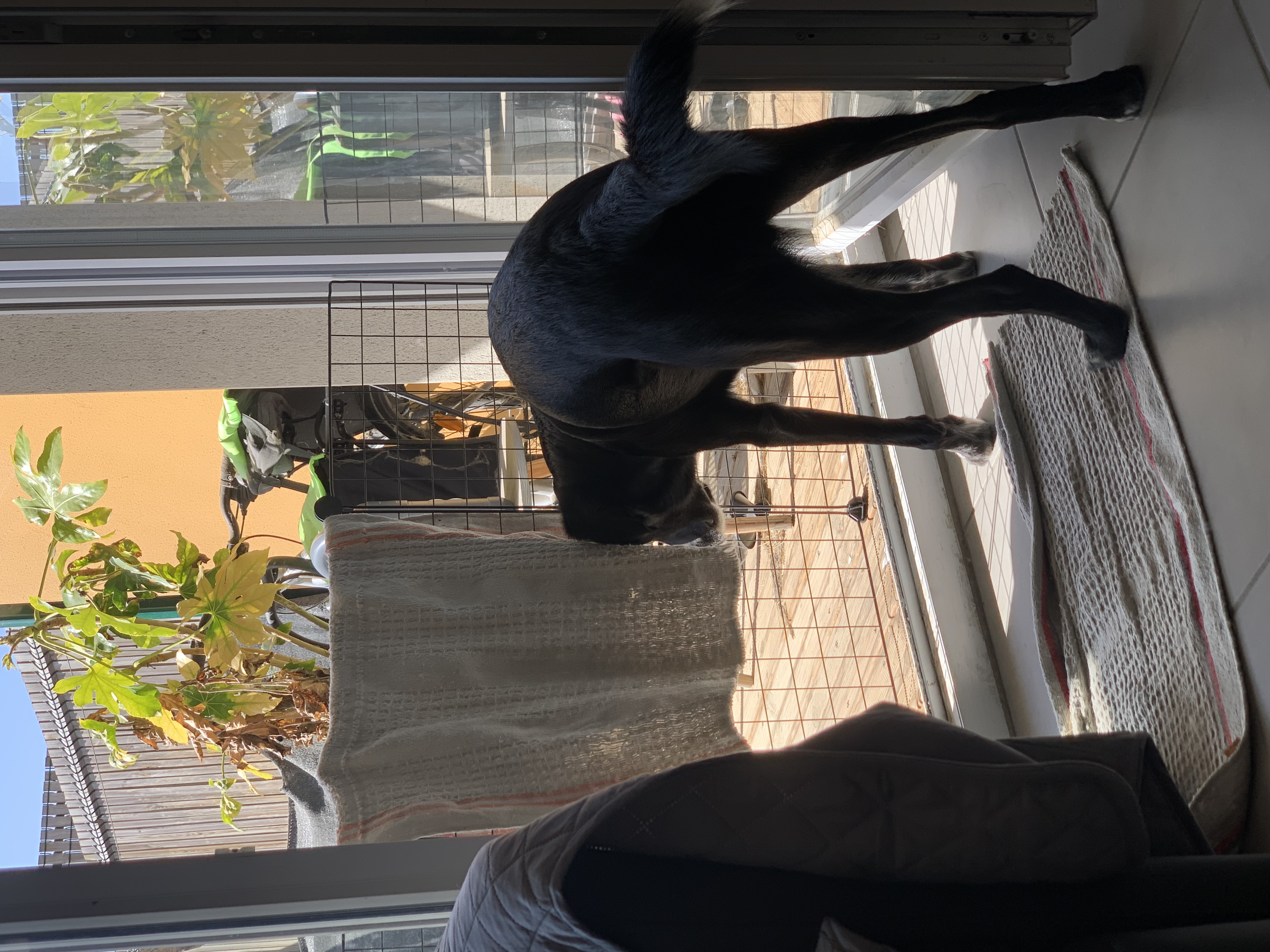 image-16
