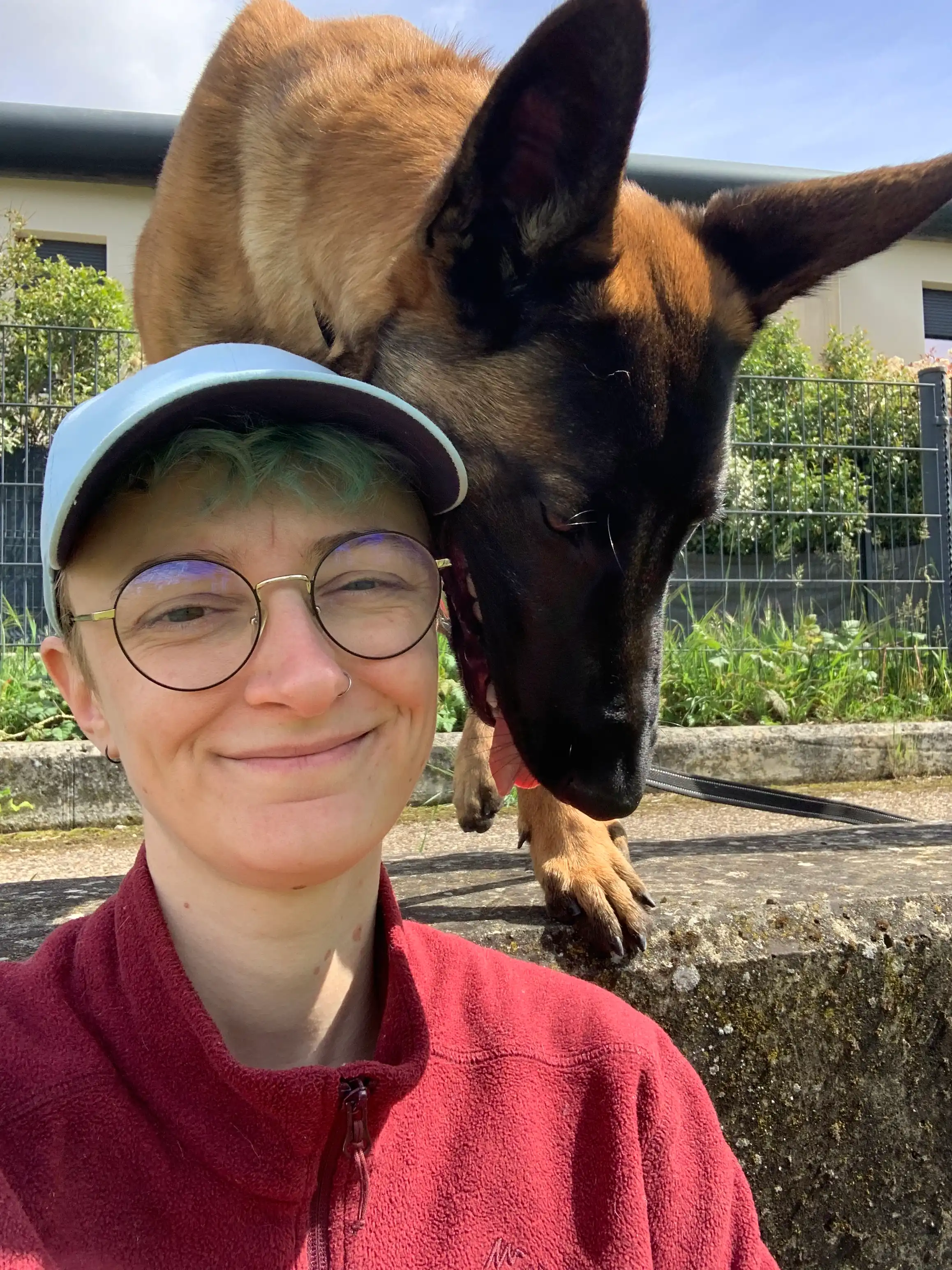 image-12
