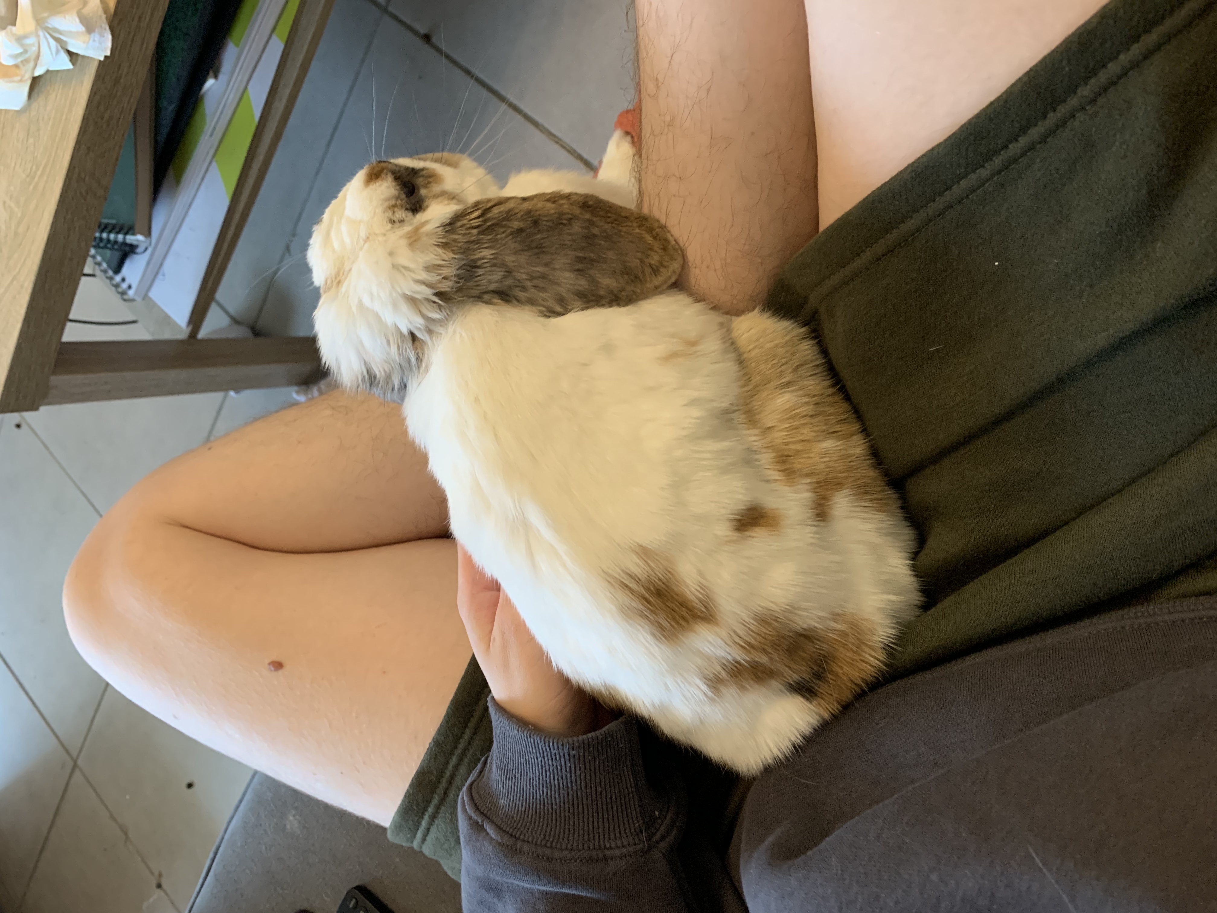 image-11