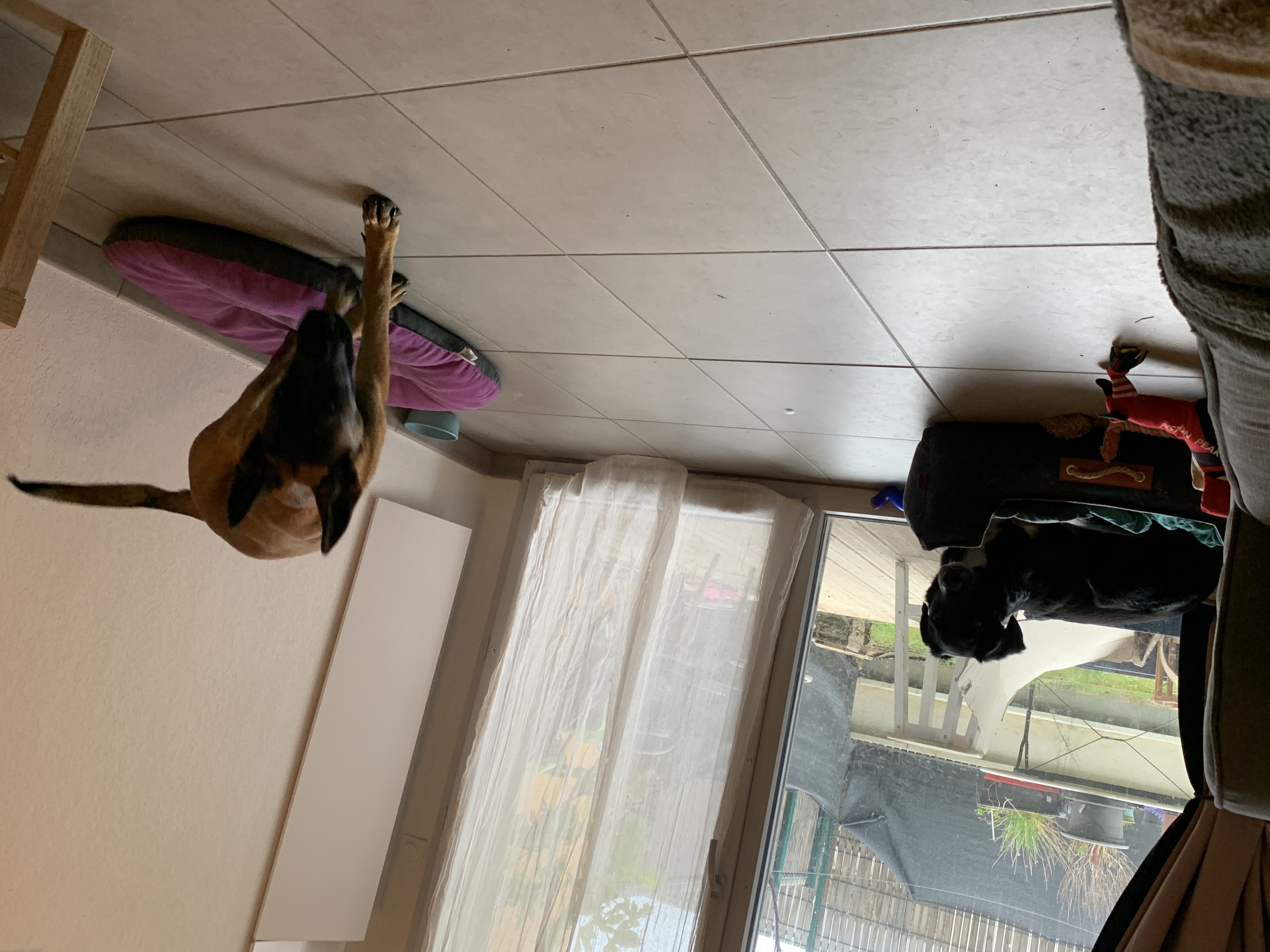 image-18