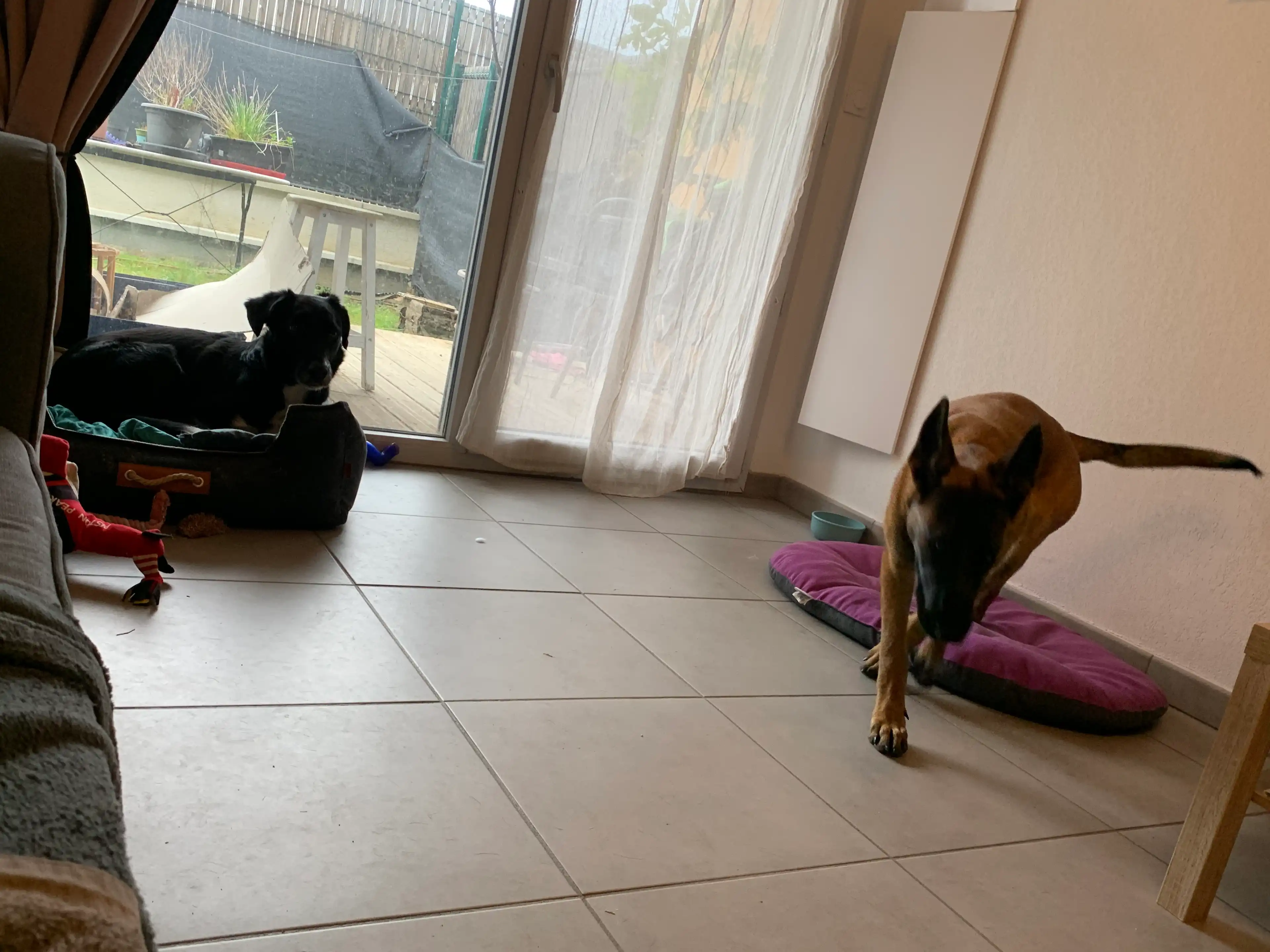 image-18