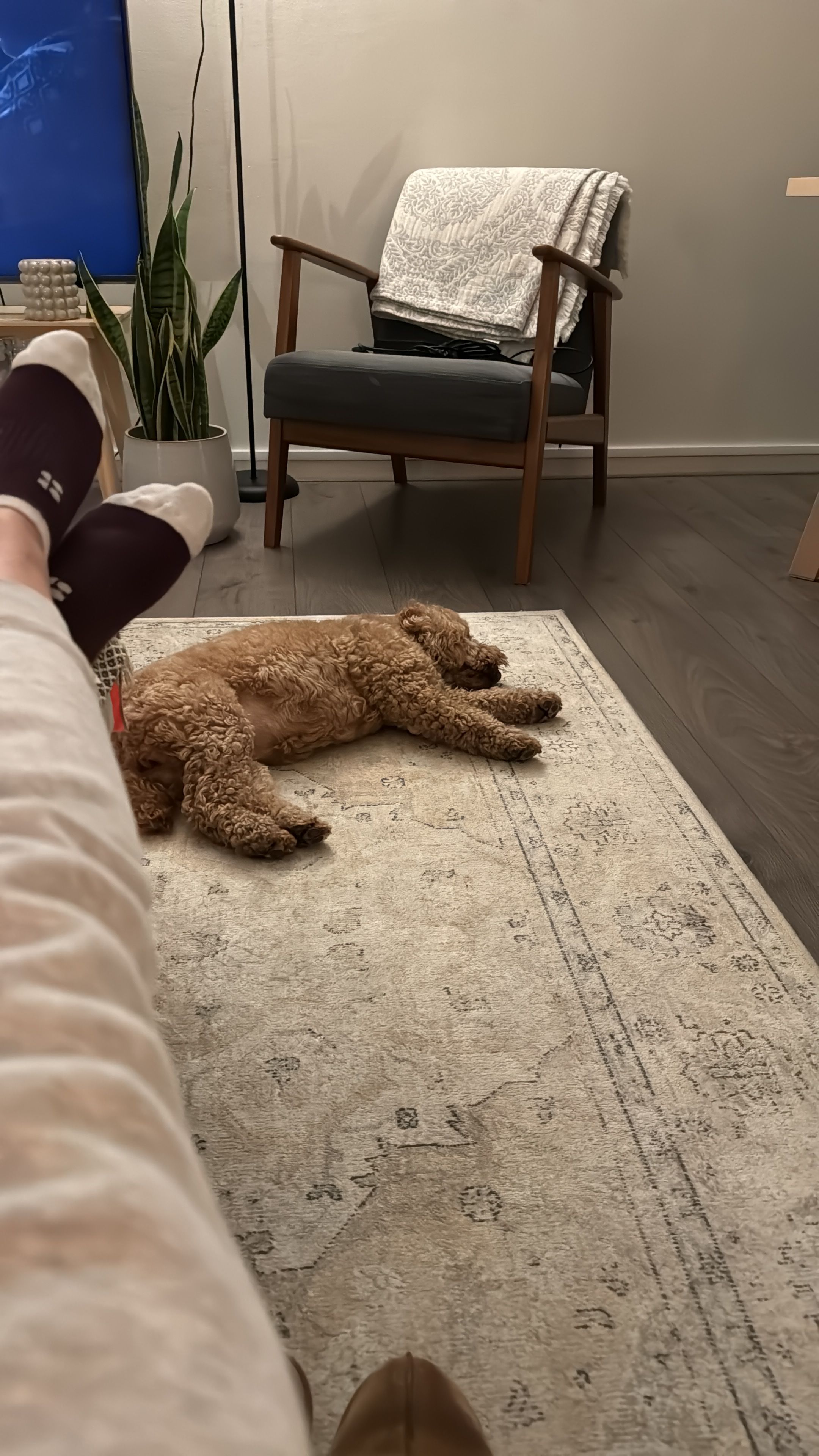 image-7