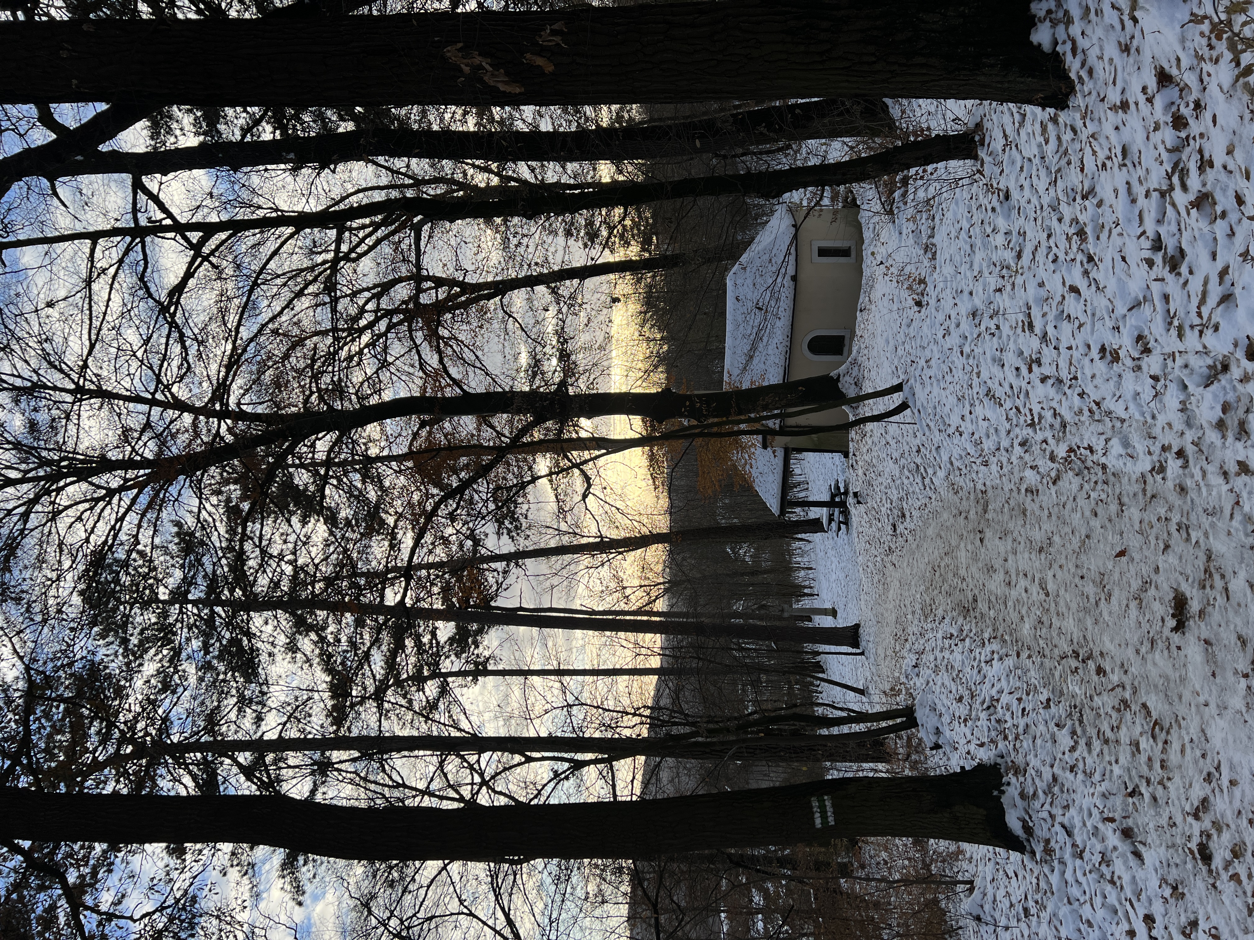image-26