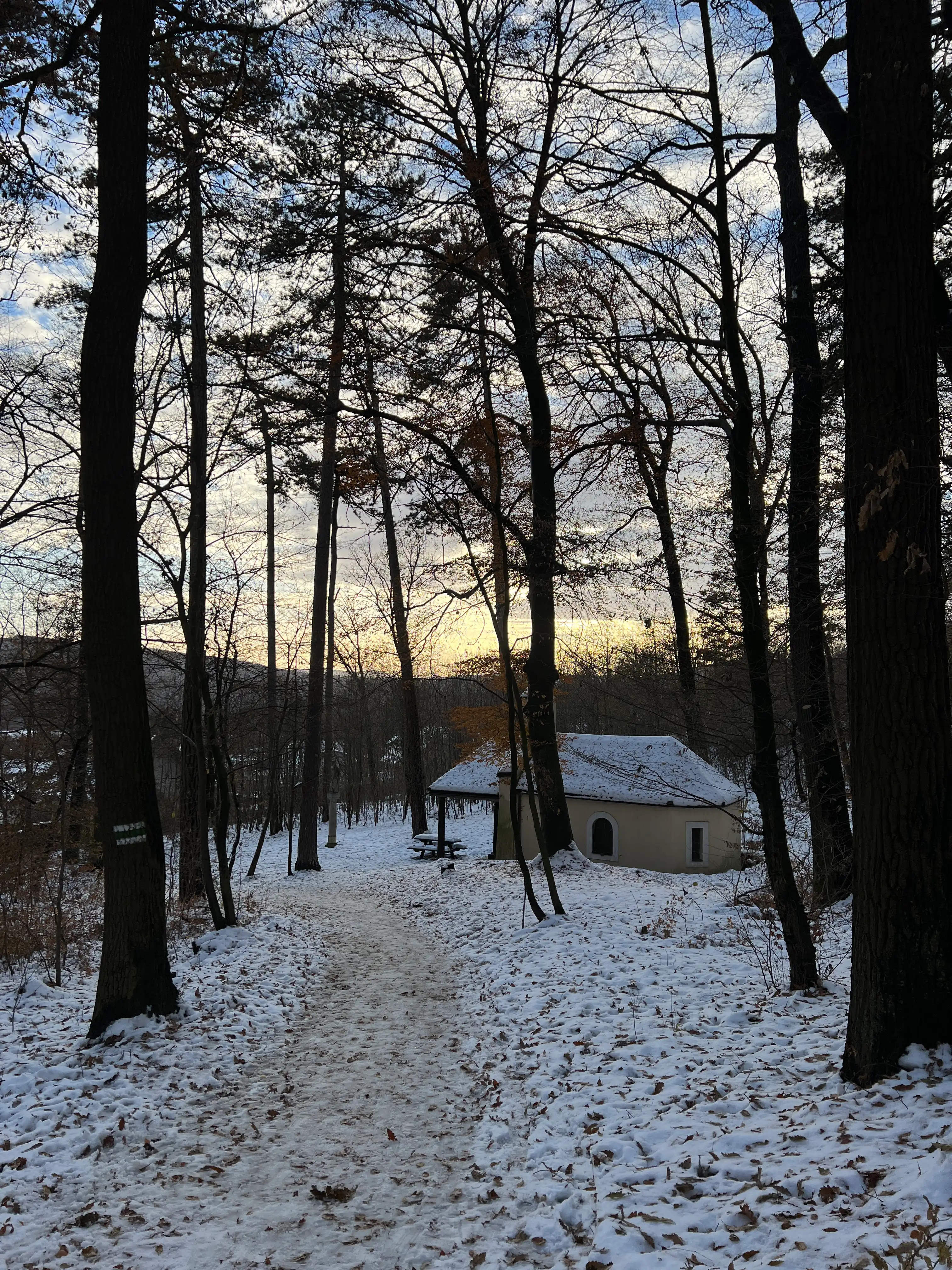 image-26