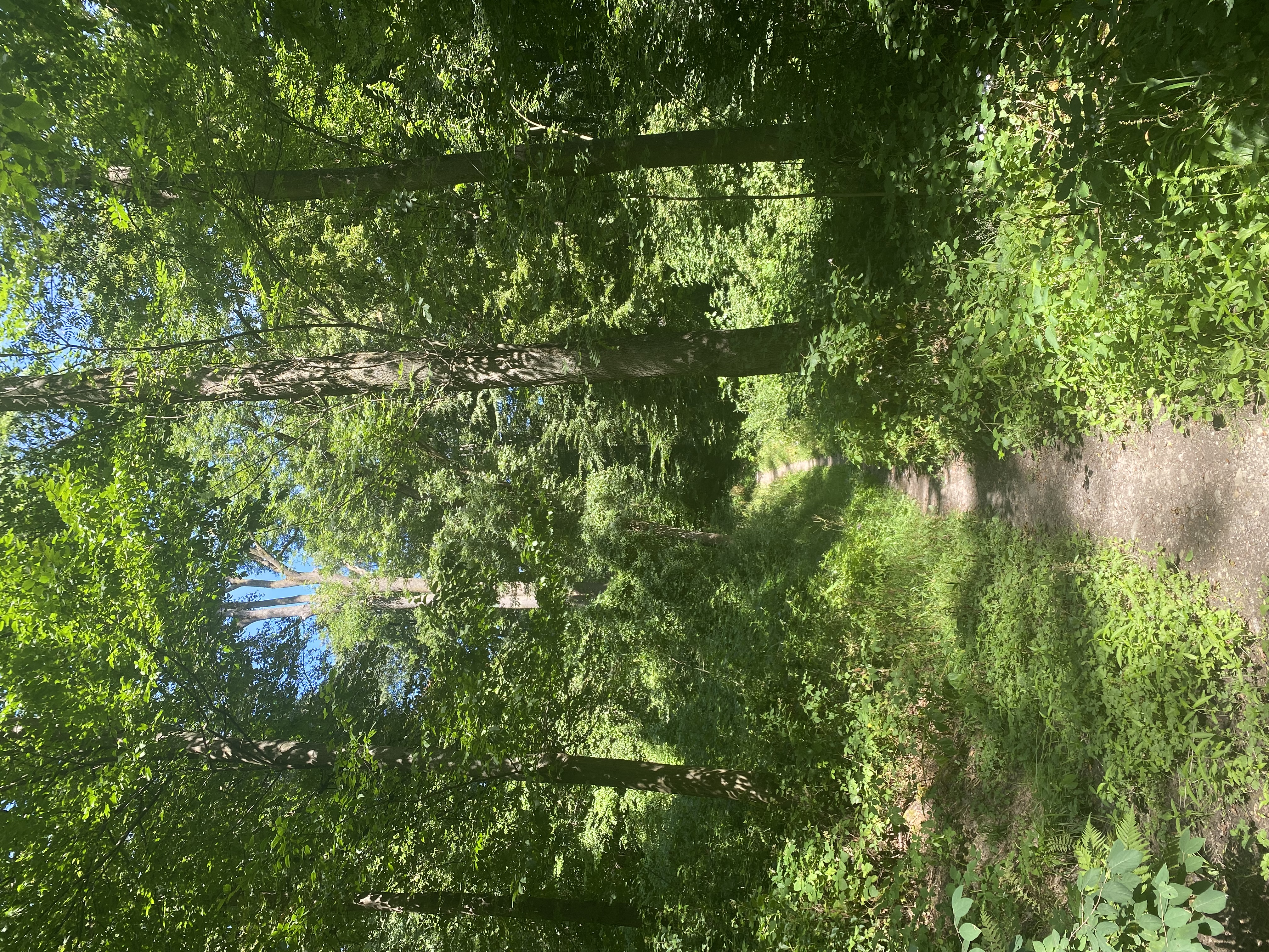 image-33