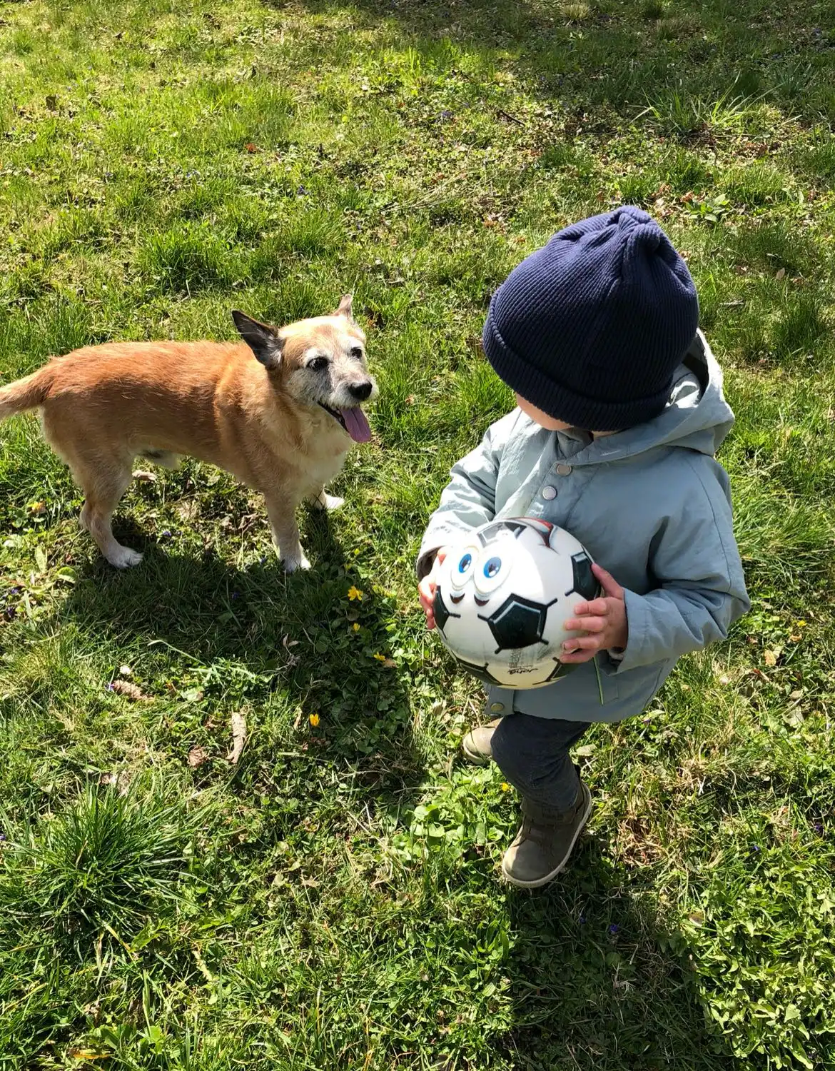 image-6