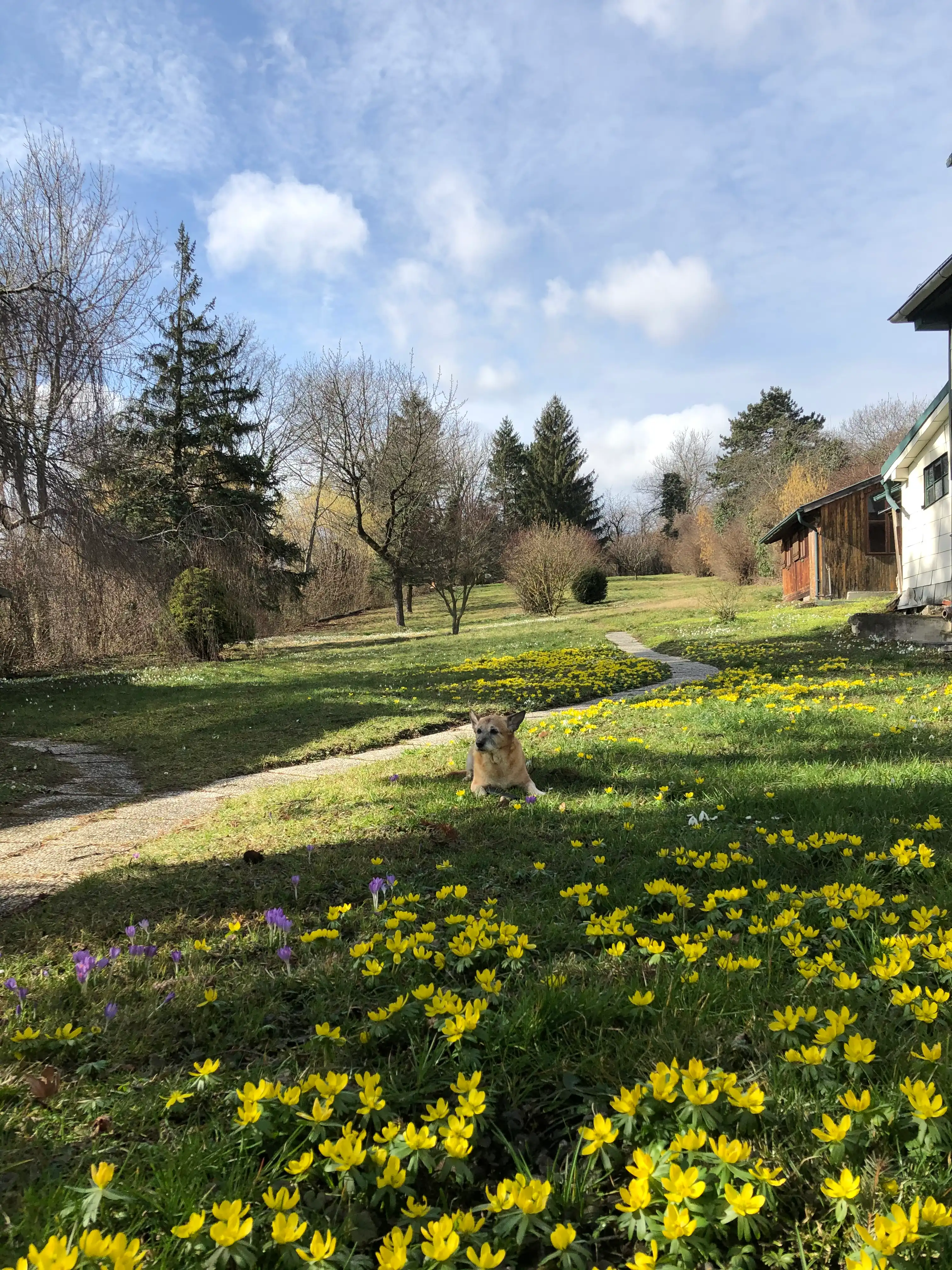image-23