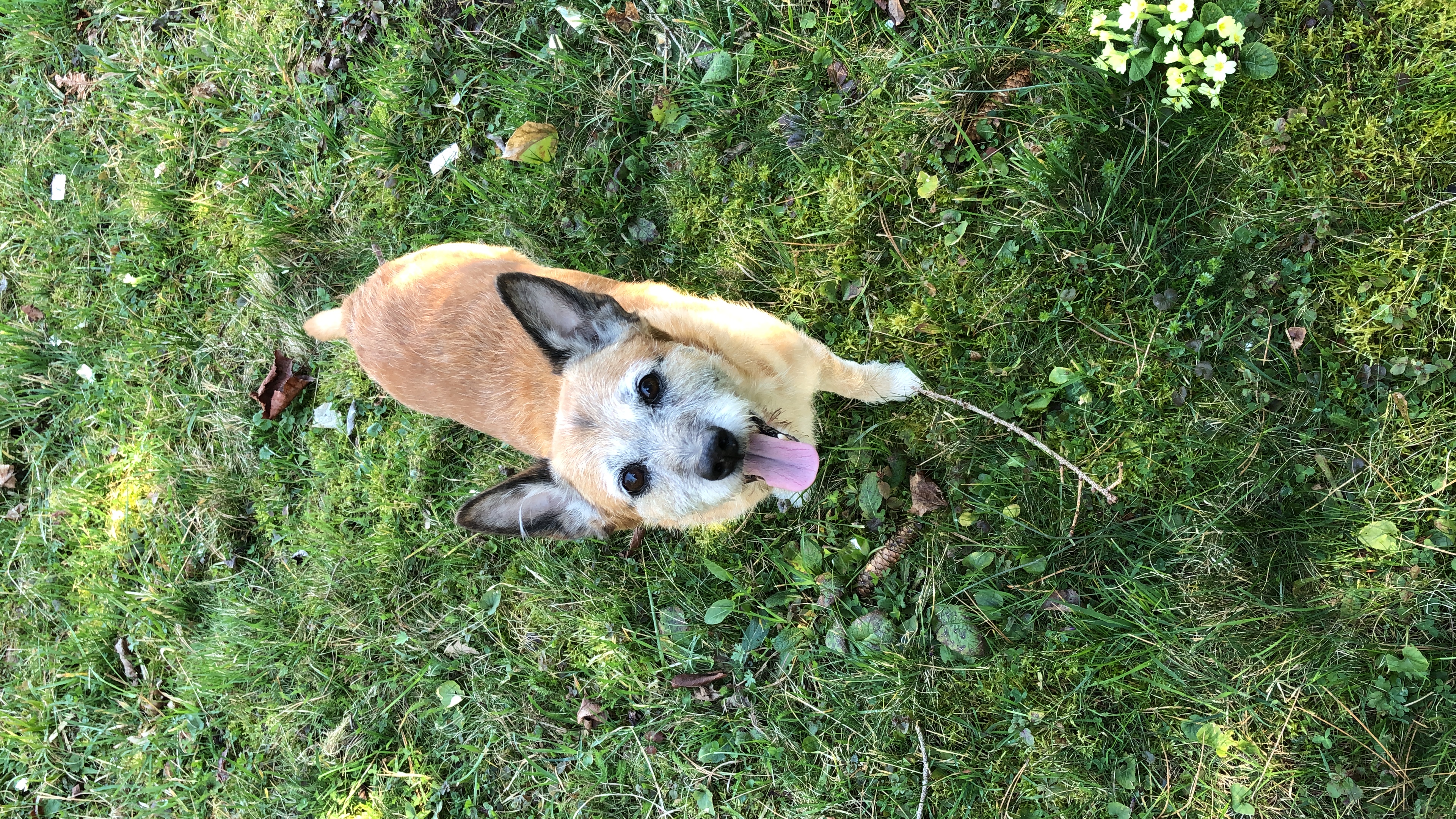 image-9