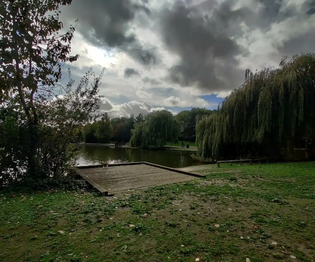 image-8