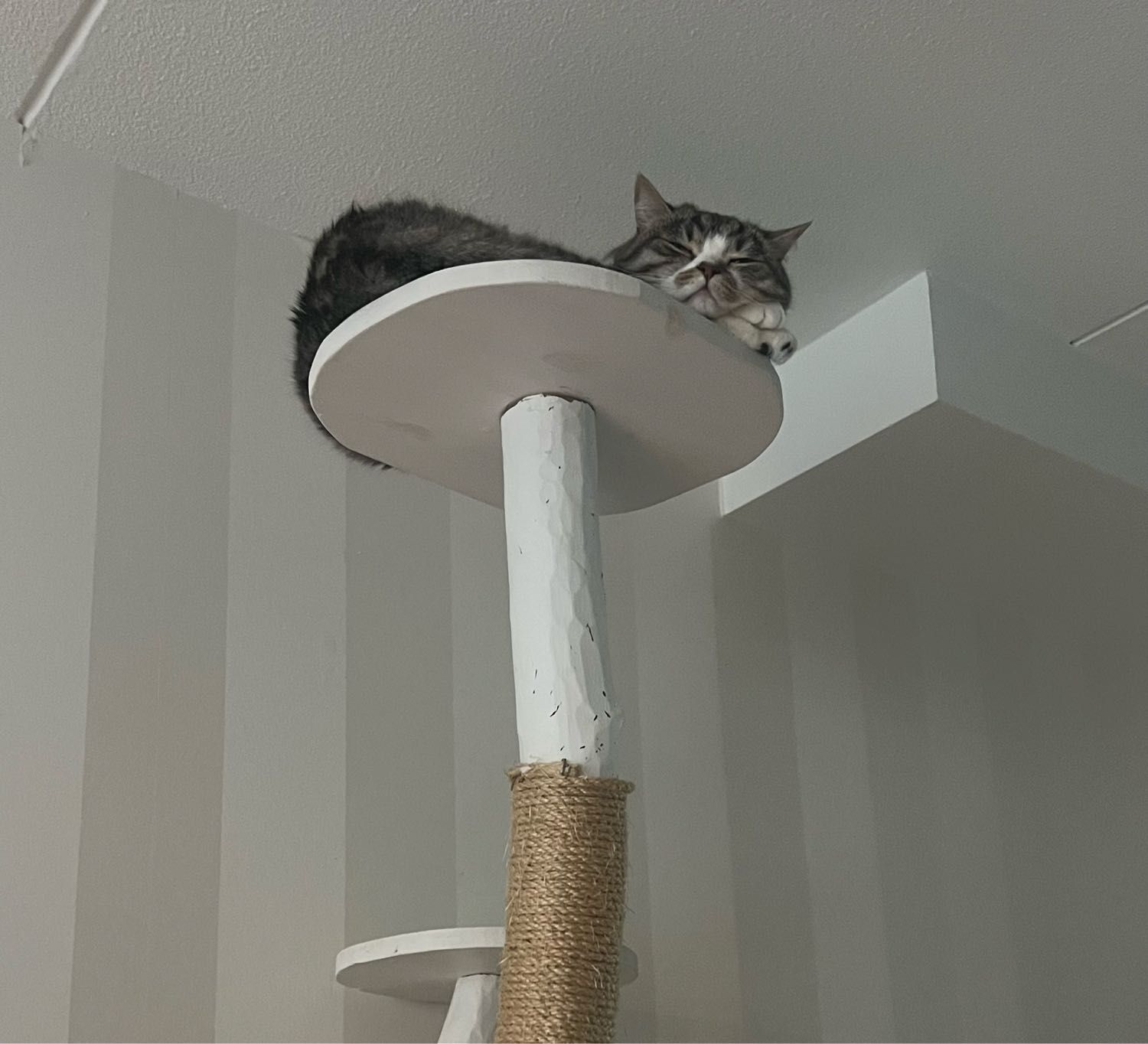 image-10