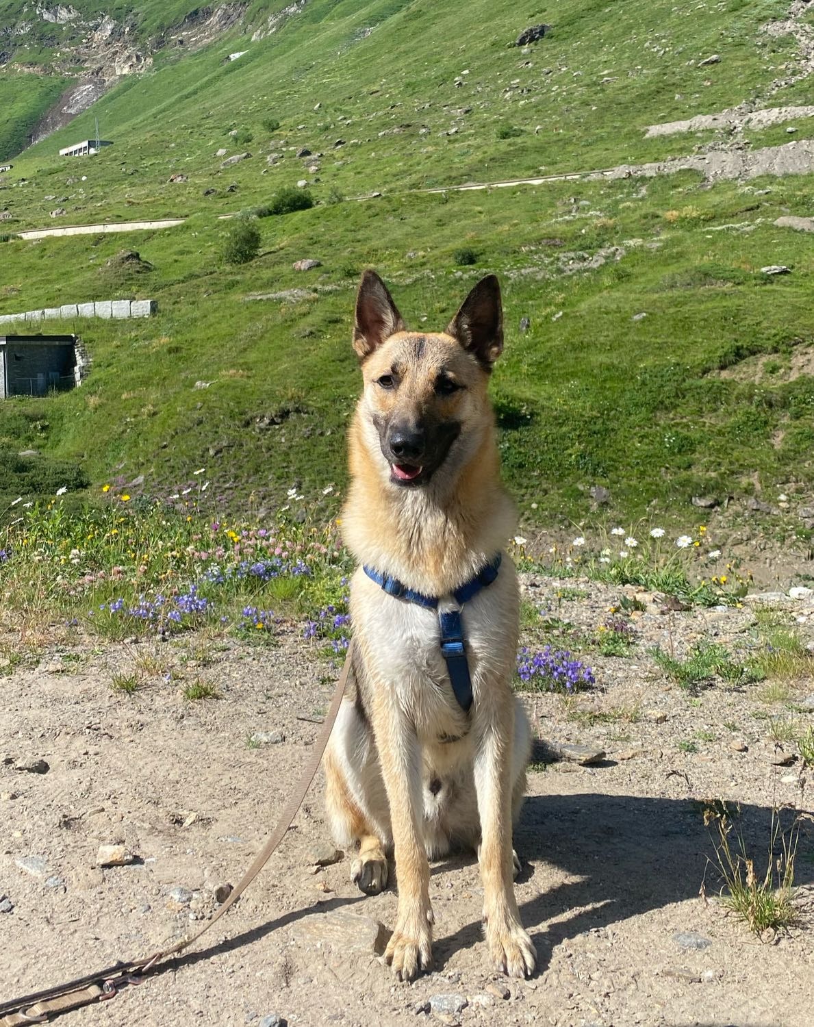 image-6