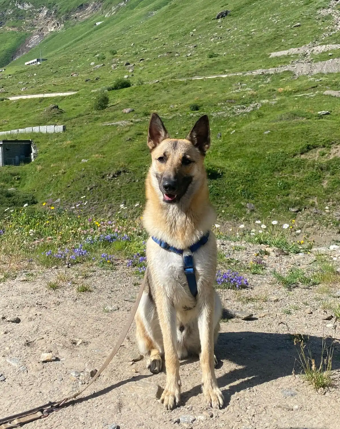 image-6
