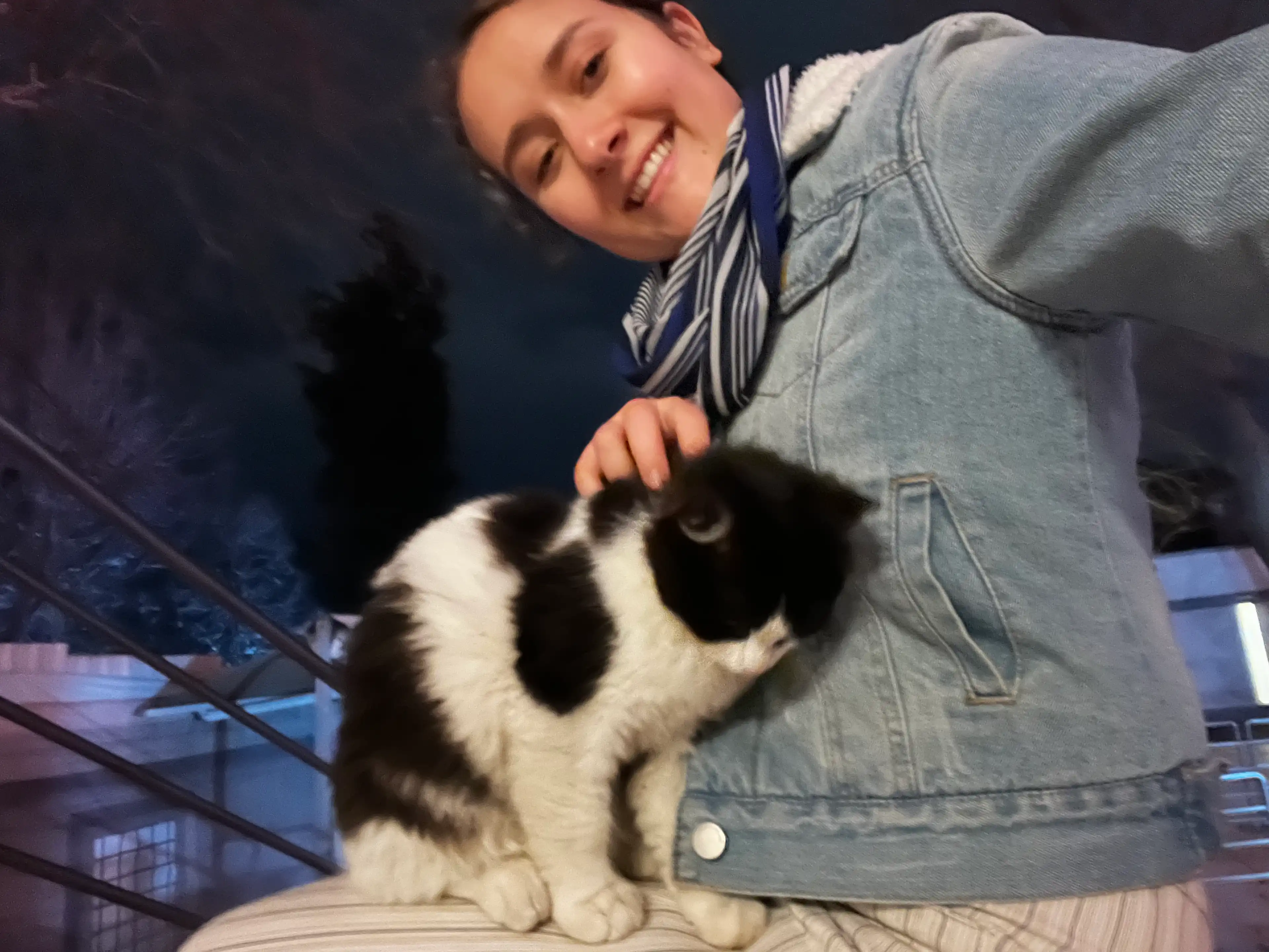image-6